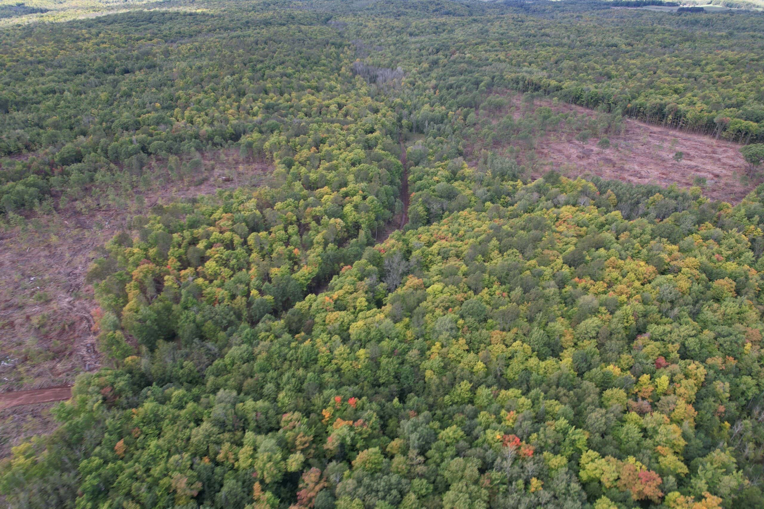Land for Sale in Ashland County, Wisconsin