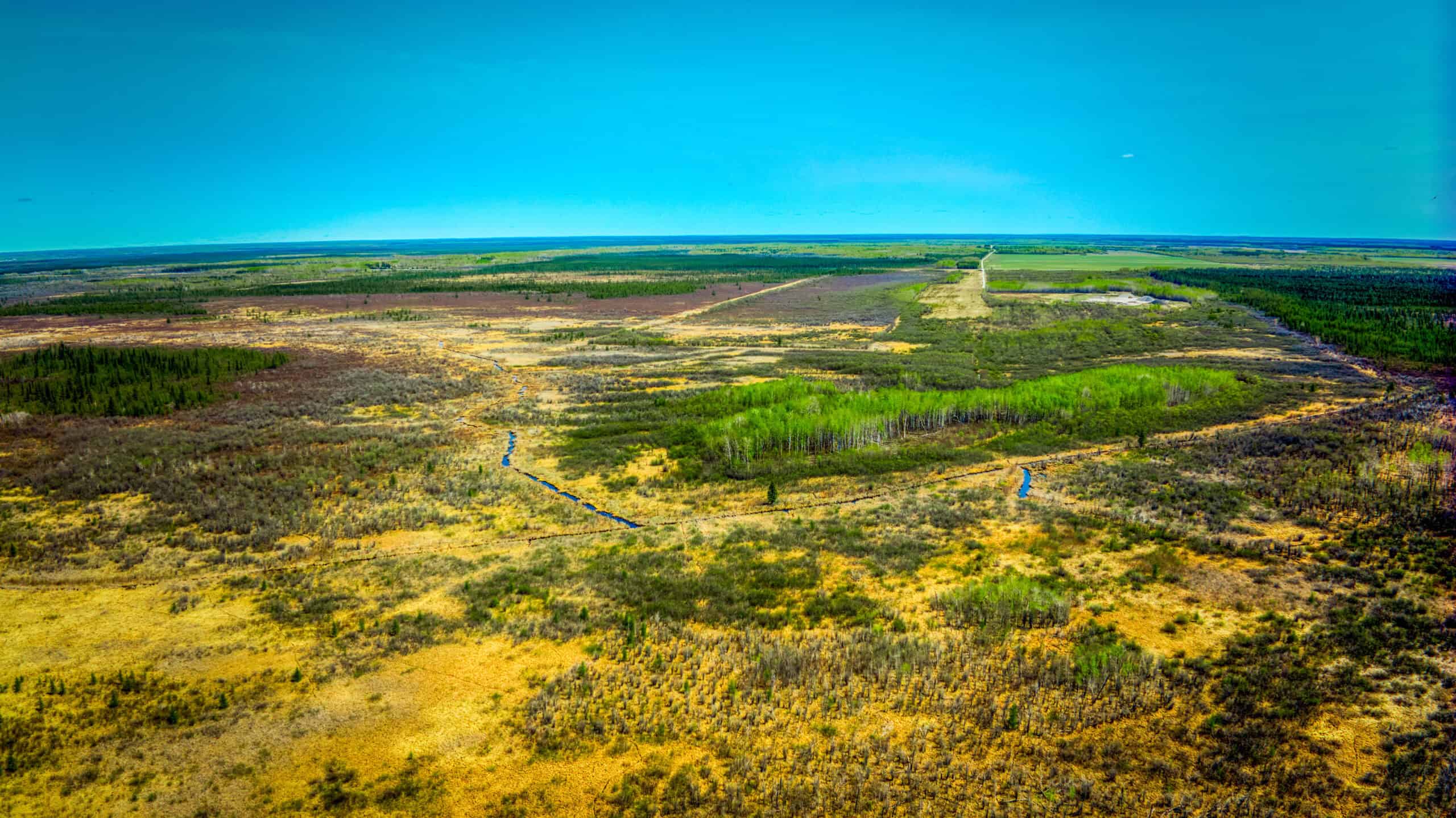 Hunting and Recreational Land for Sale near Baudette, MN