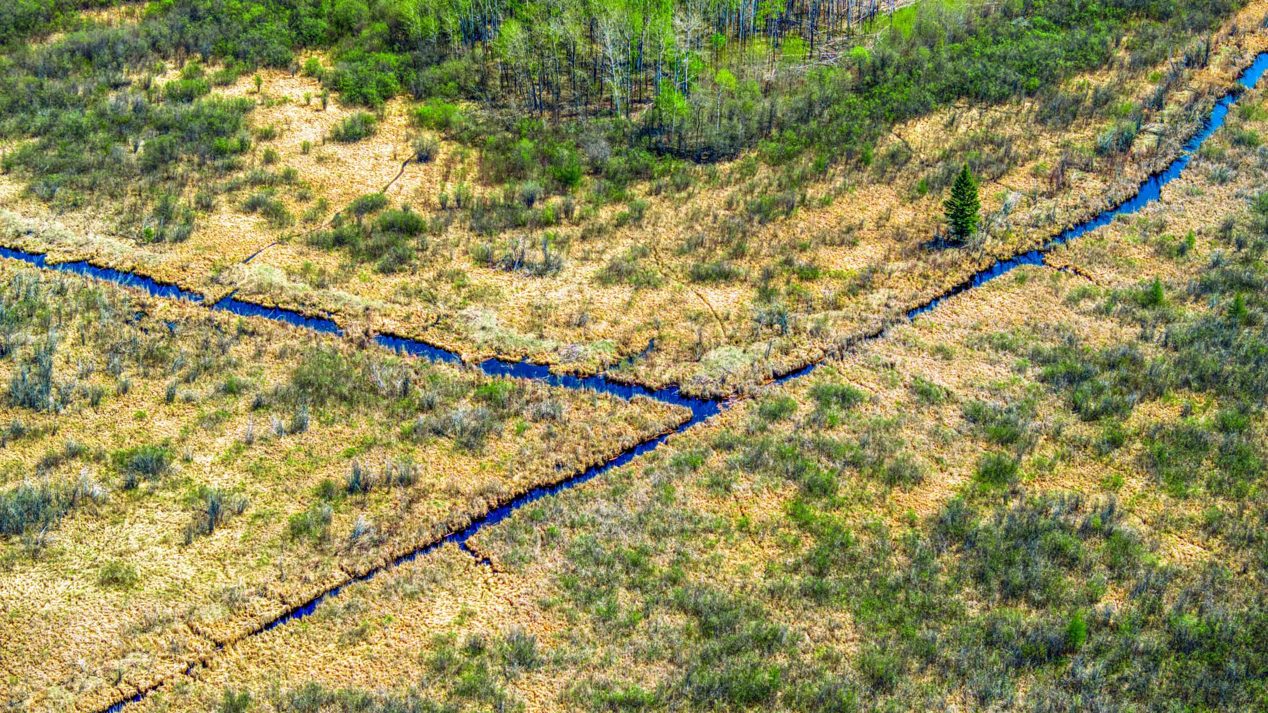 Hunting and Recreational Land for Sale near Baudette, MN