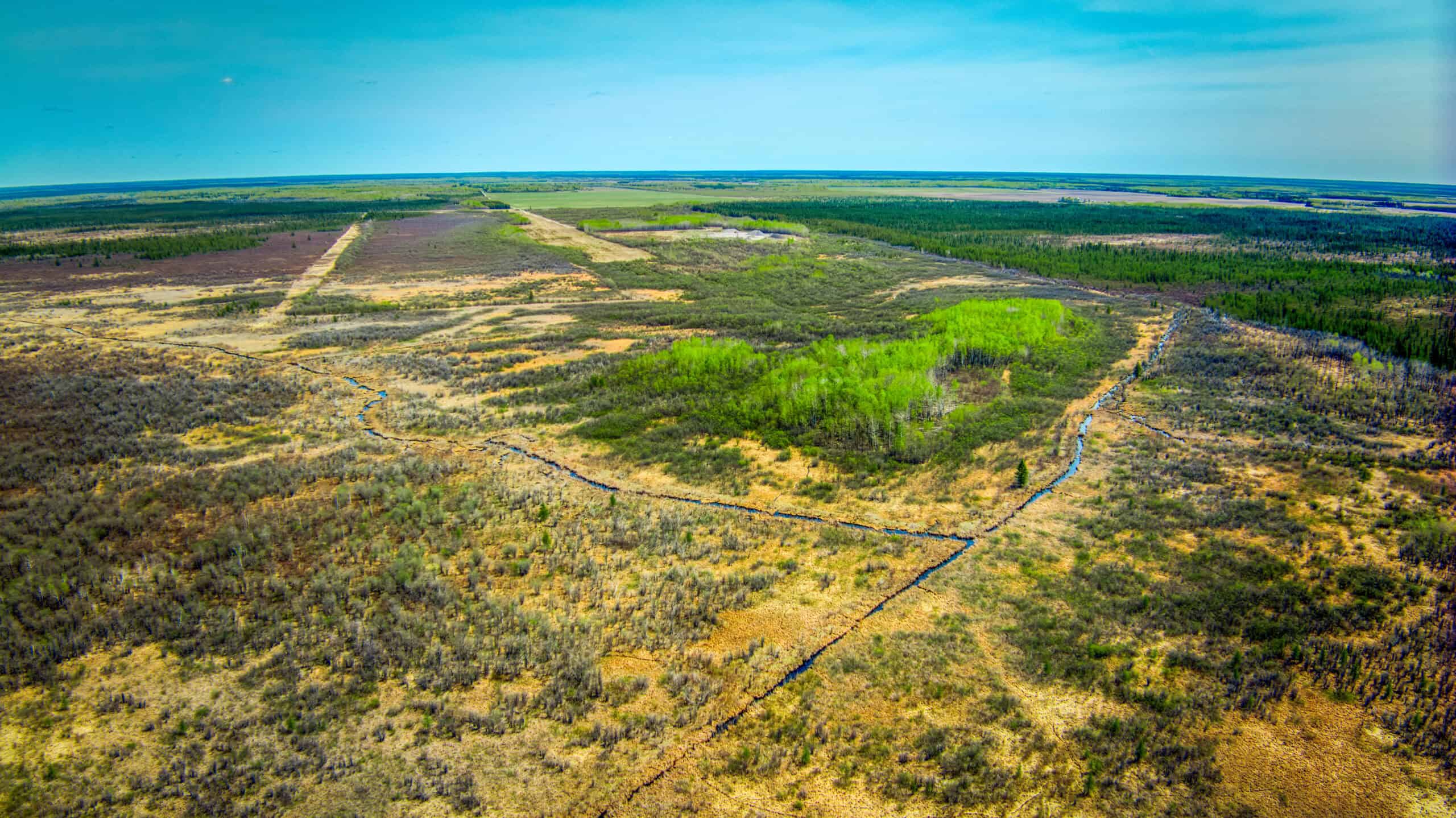 Hunting and Recreational Land for Sale near Baudette, MN