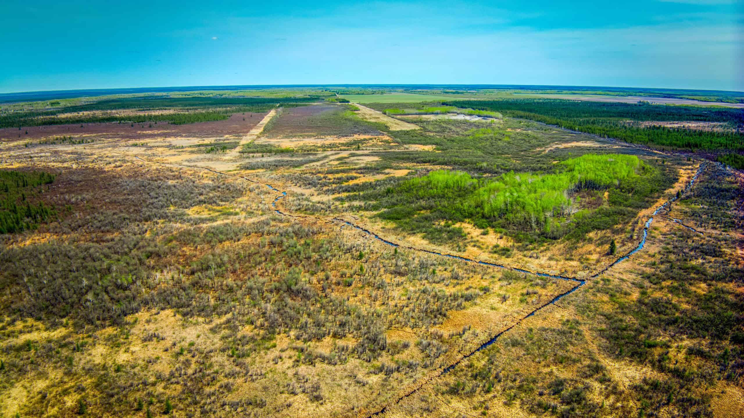 Hunting and Recreational Land for Sale near Baudette, MN