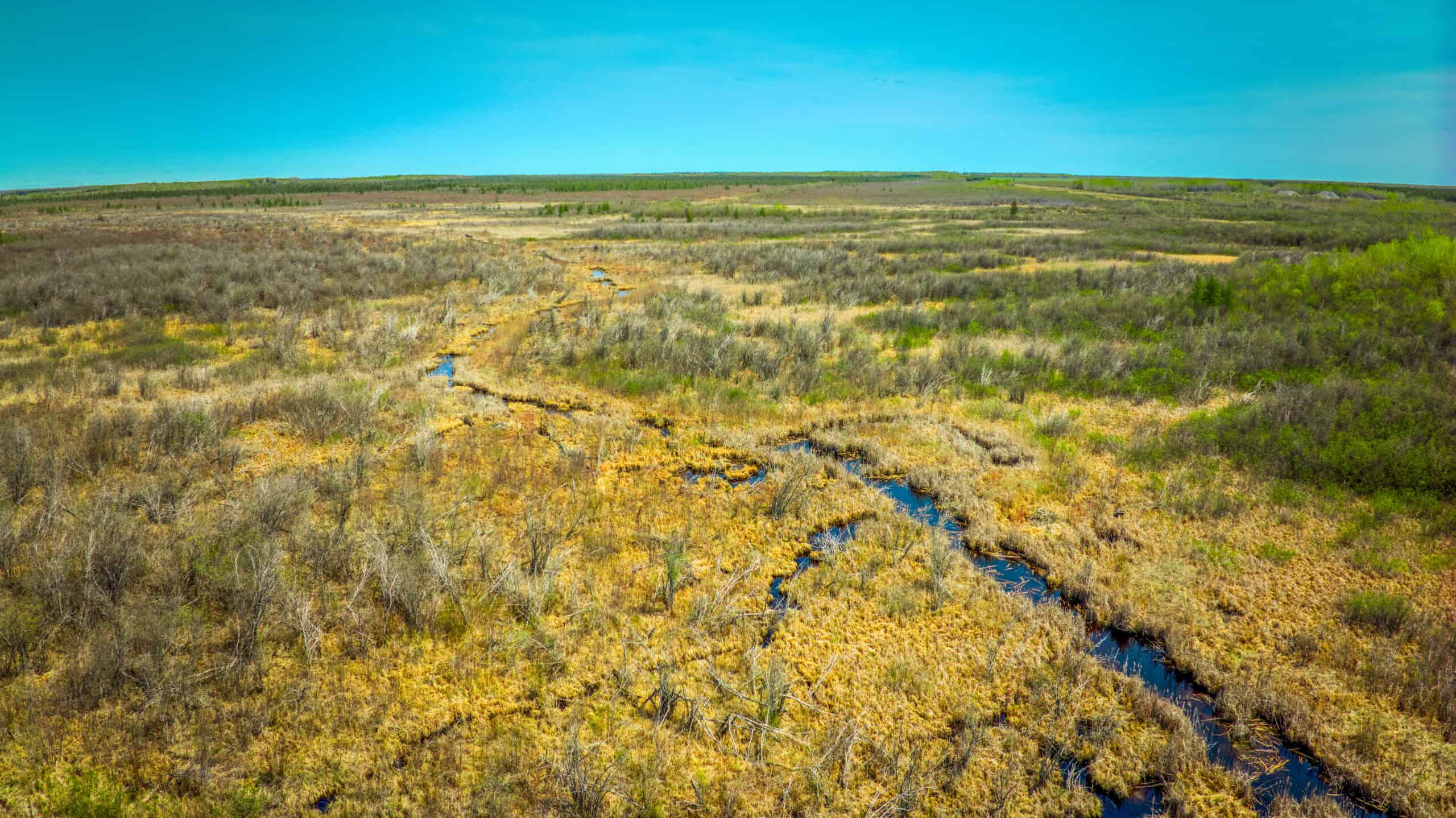 Hunting and Recreational Land for Sale near Baudette, MN