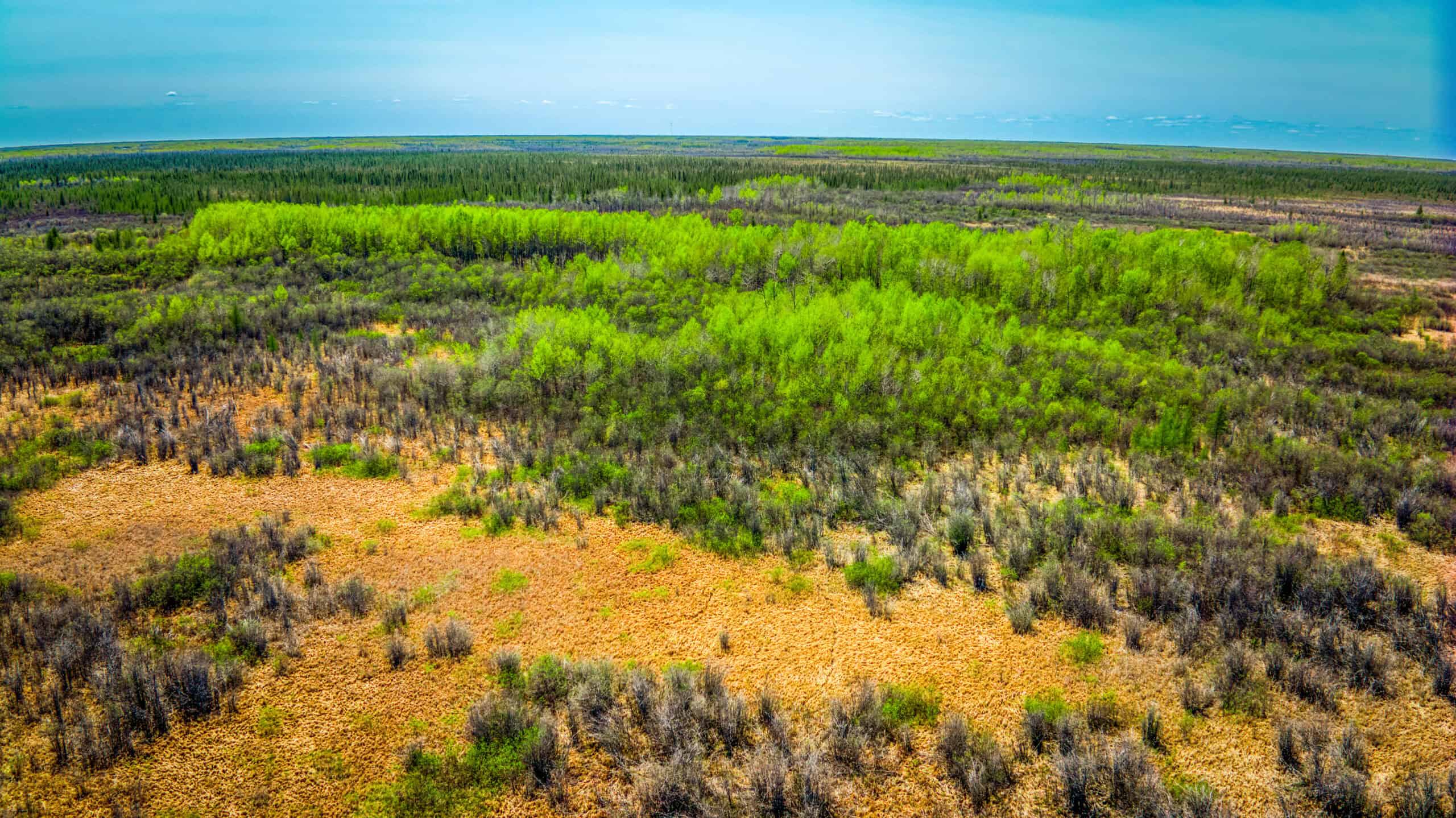 Hunting and Recreational Land for Sale near Baudette, MN