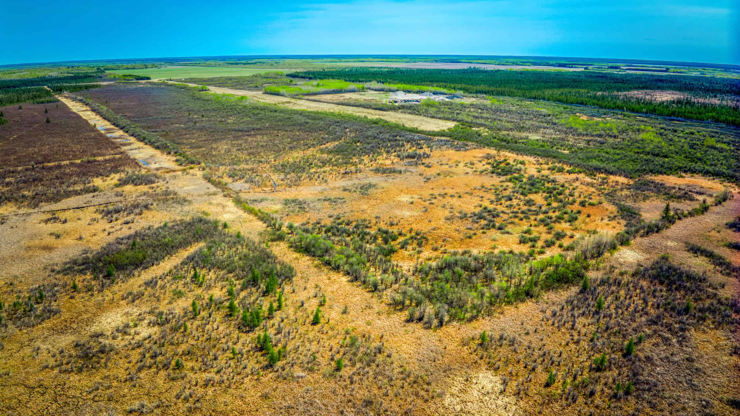 Hunting and Recreational Land for Sale near Baudette, MN