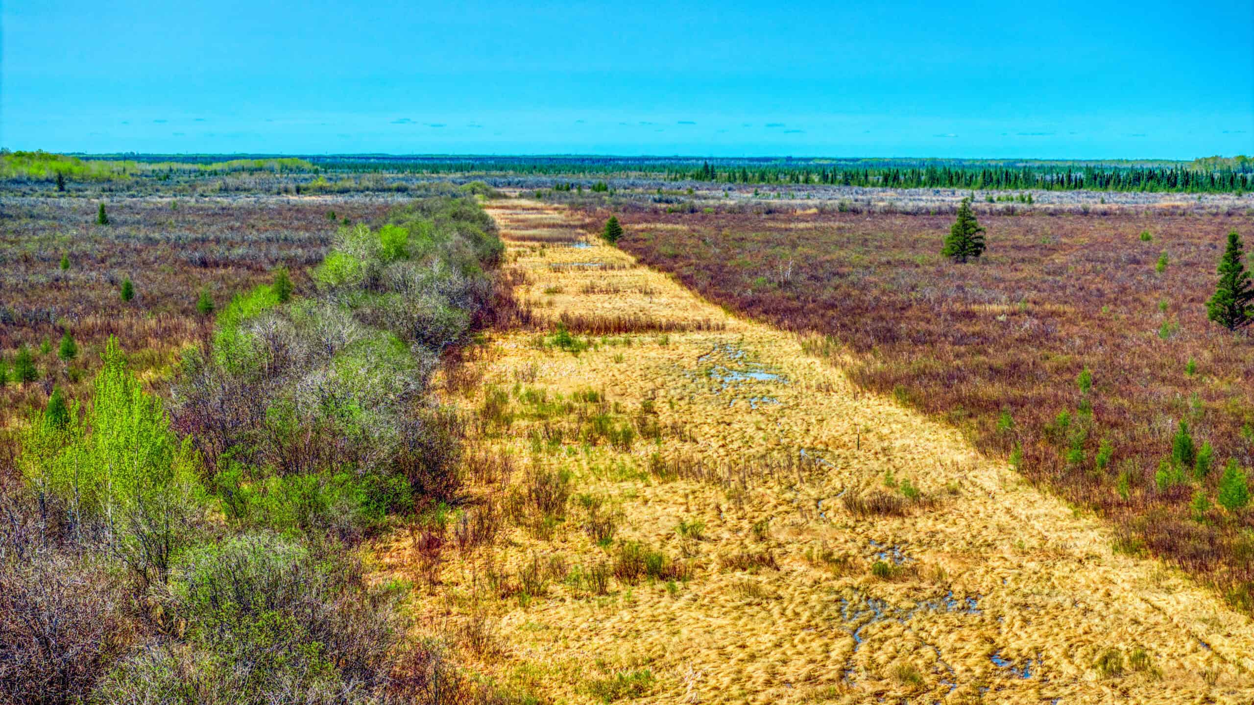Hunting and Recreational Land for Sale near Baudette, MN