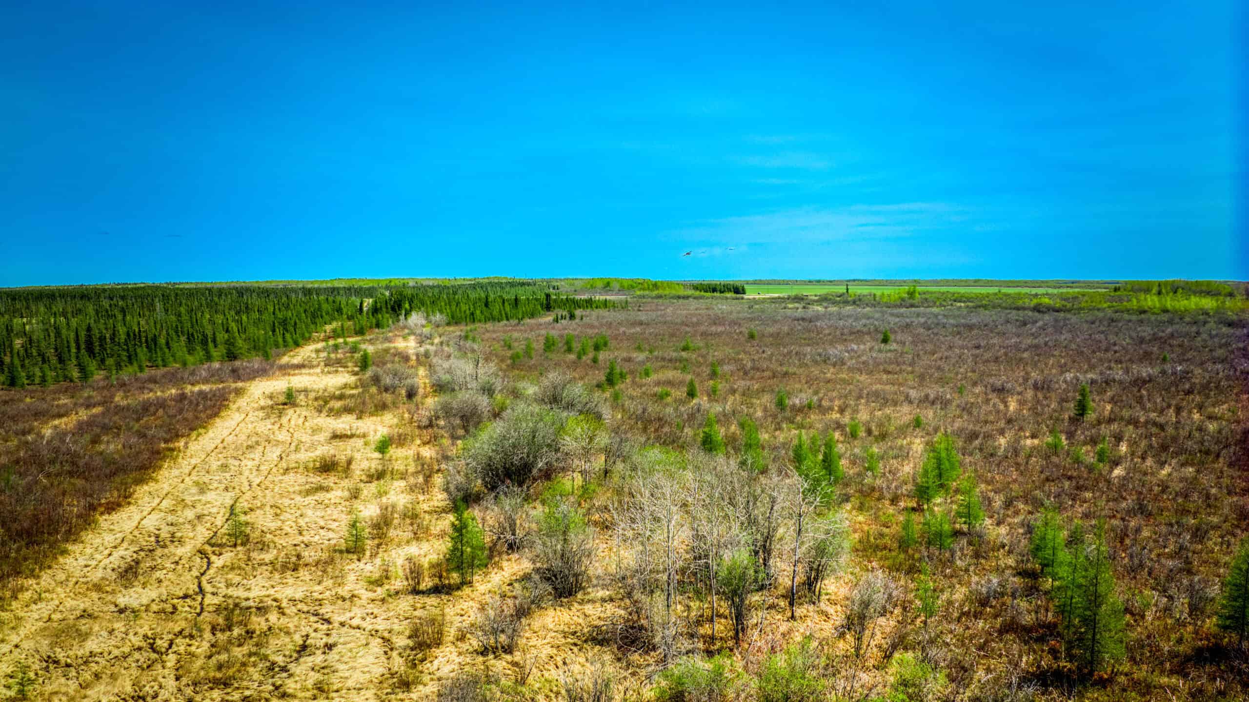 Hunting and Recreational Land for Sale near Baudette, MN