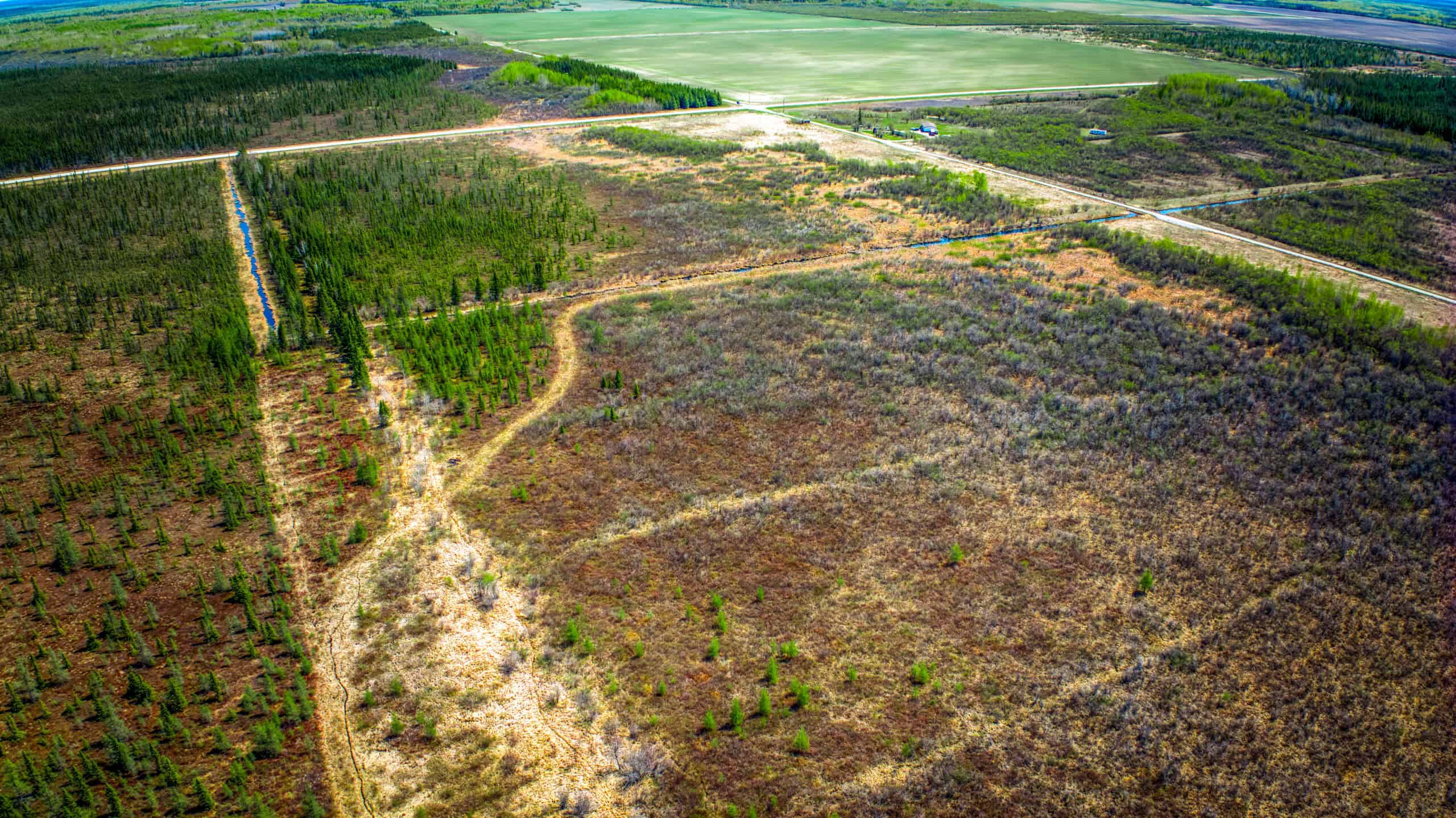 Hunting and Recreational Land for Sale near Baudette, MN