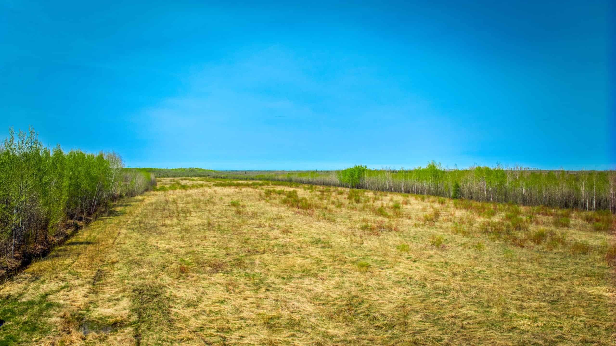 Hunting and Recreational Land for Sale near Baudette, MN