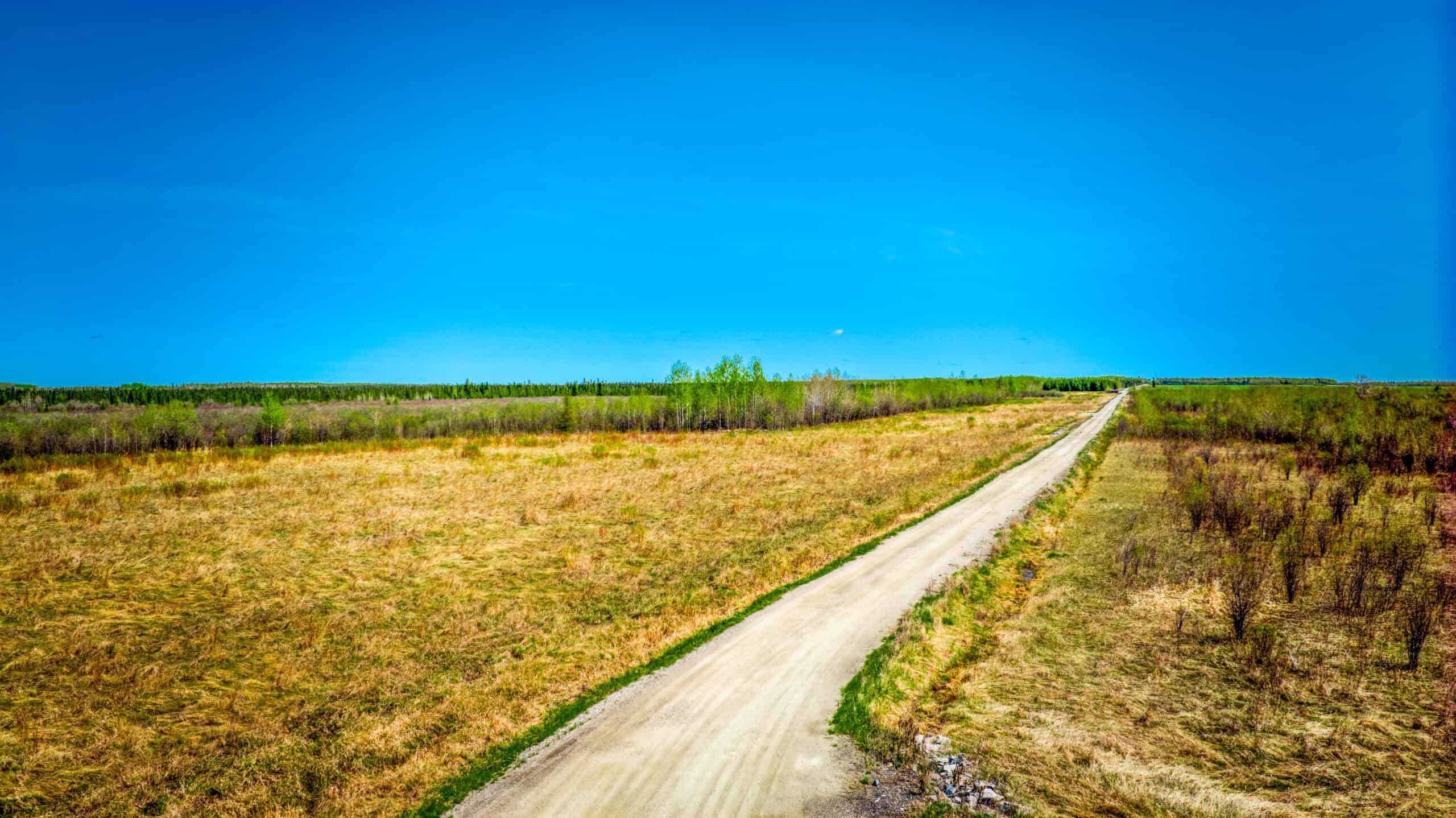 Hunting and Recreational Land for Sale near Baudette, MN