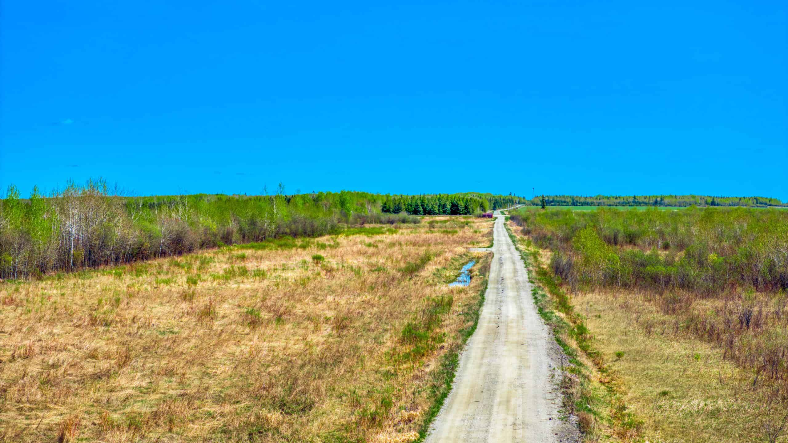 Hunting and Recreational Land for Sale near Baudette, MN