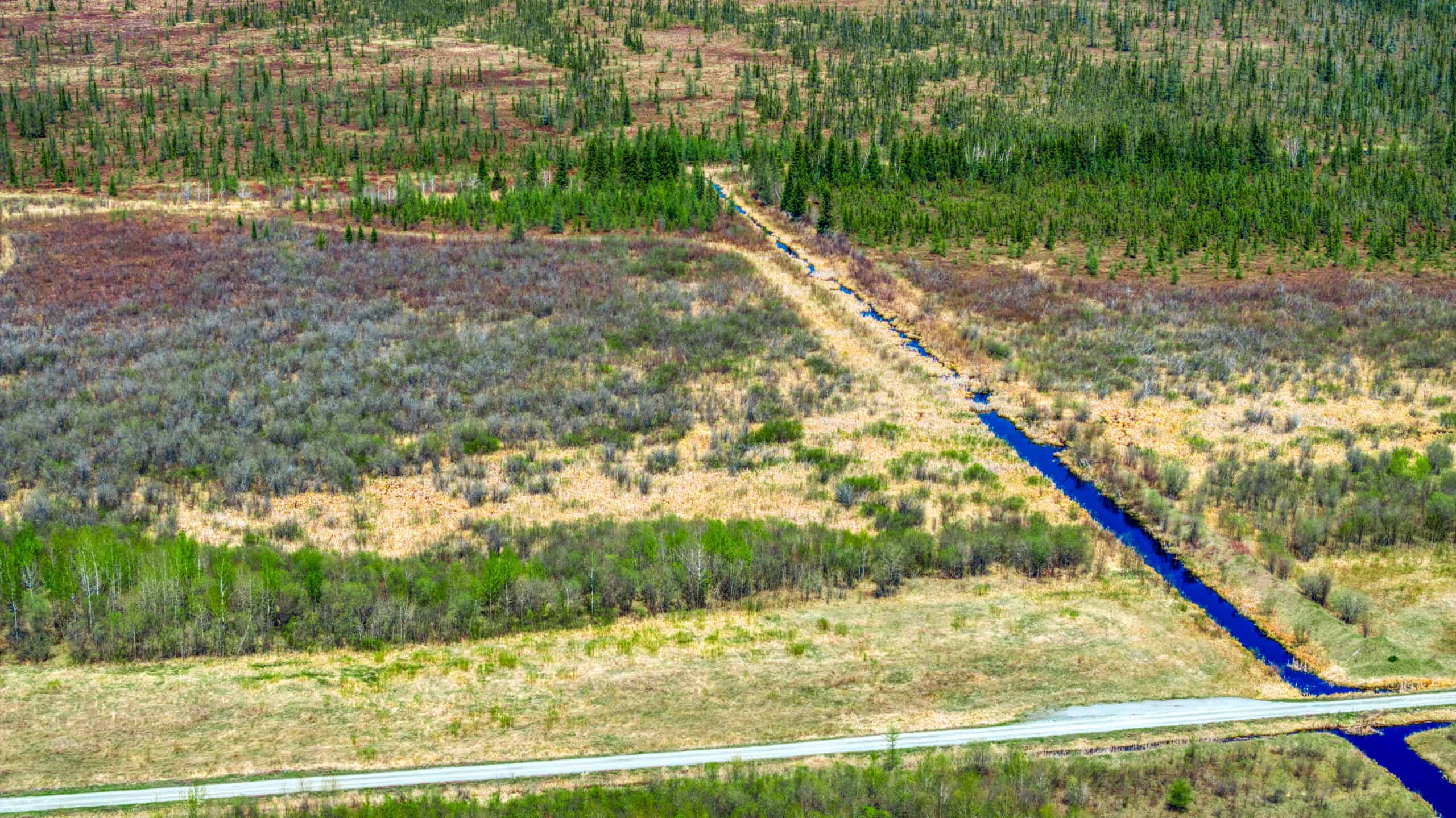 Hunting and Recreational Land for Sale near Baudette, MN