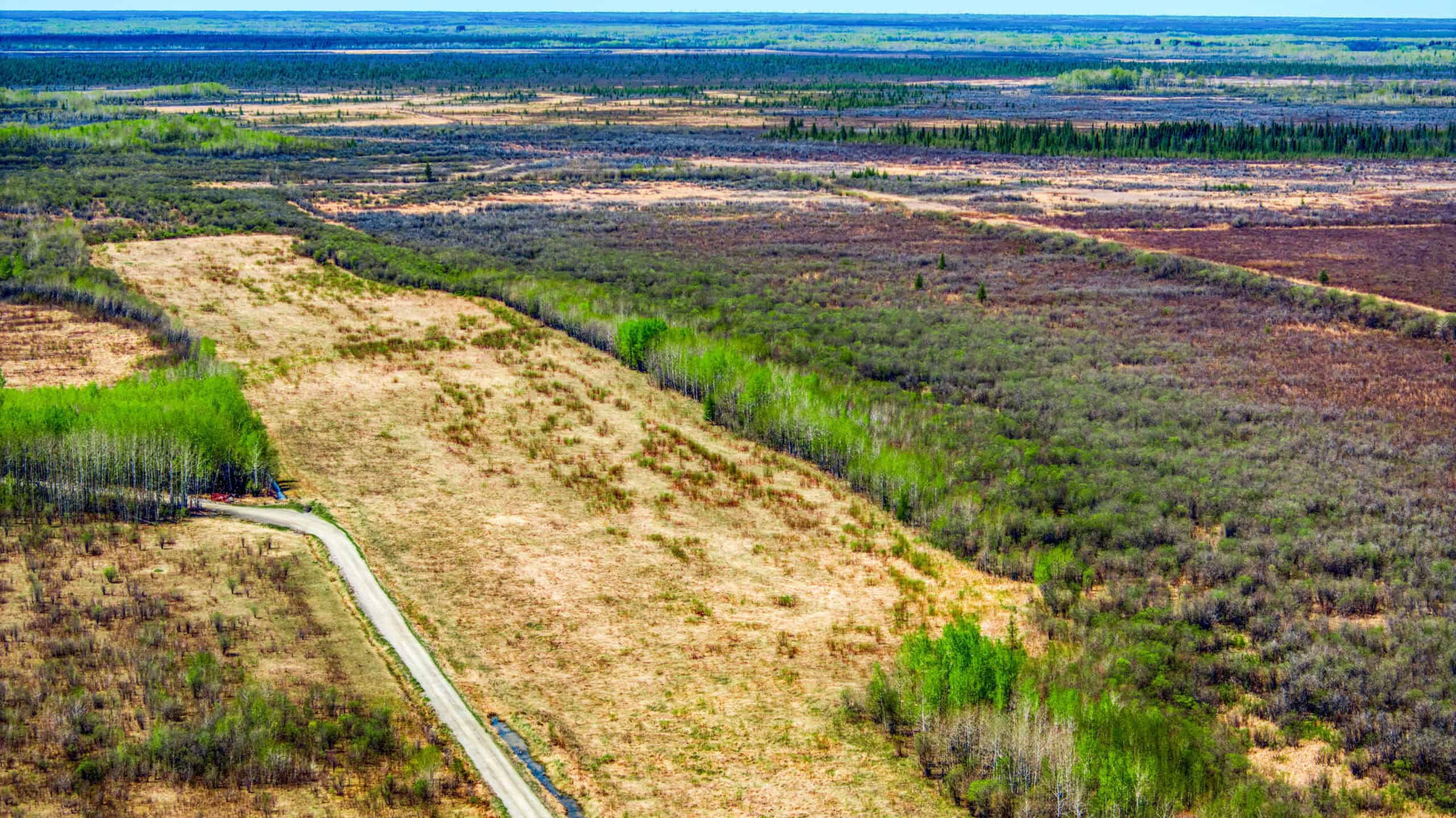 Hunting and Recreational Land for Sale near Baudette, MN