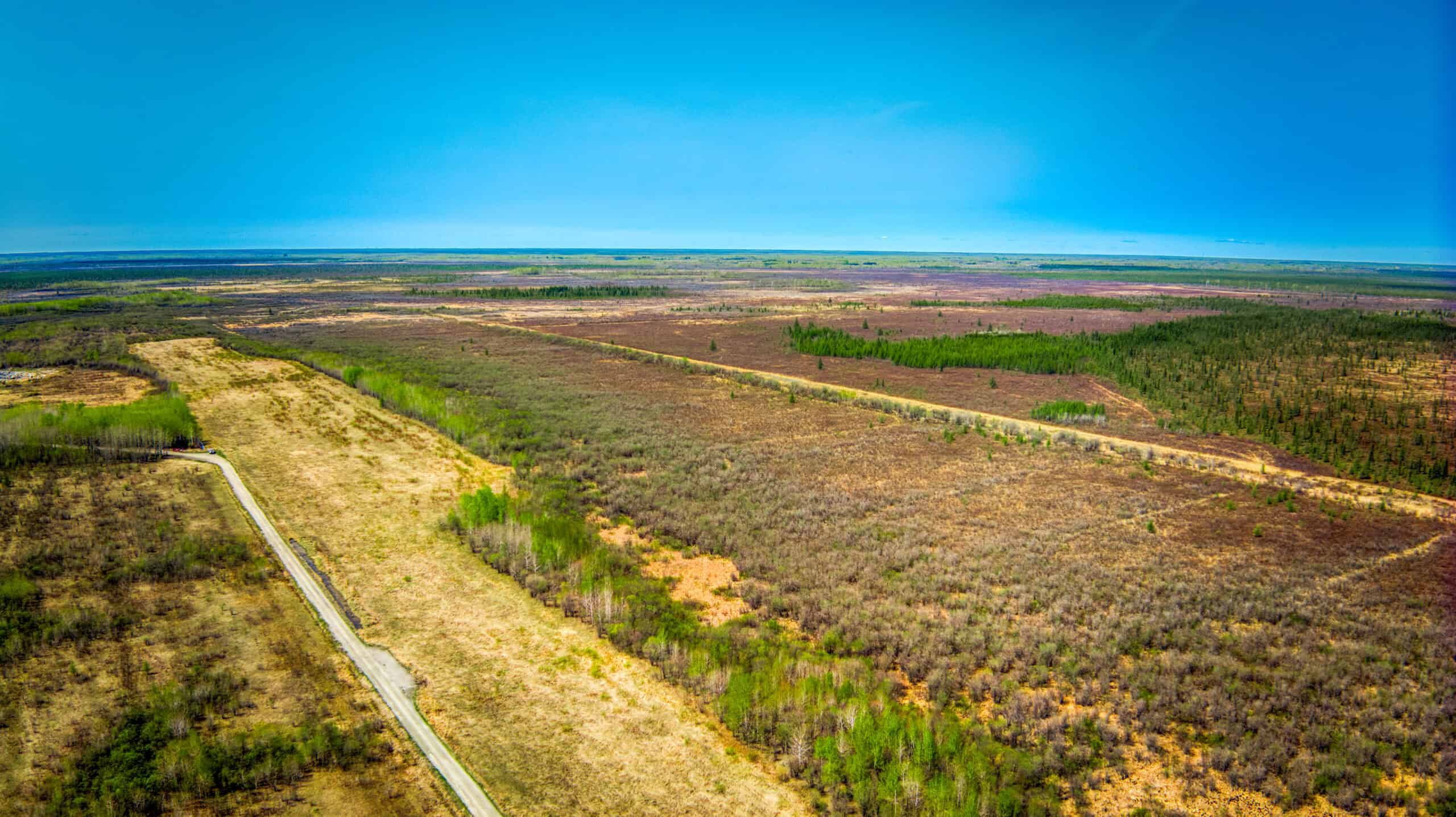Hunting and Recreational Land for Sale near Baudette, MN