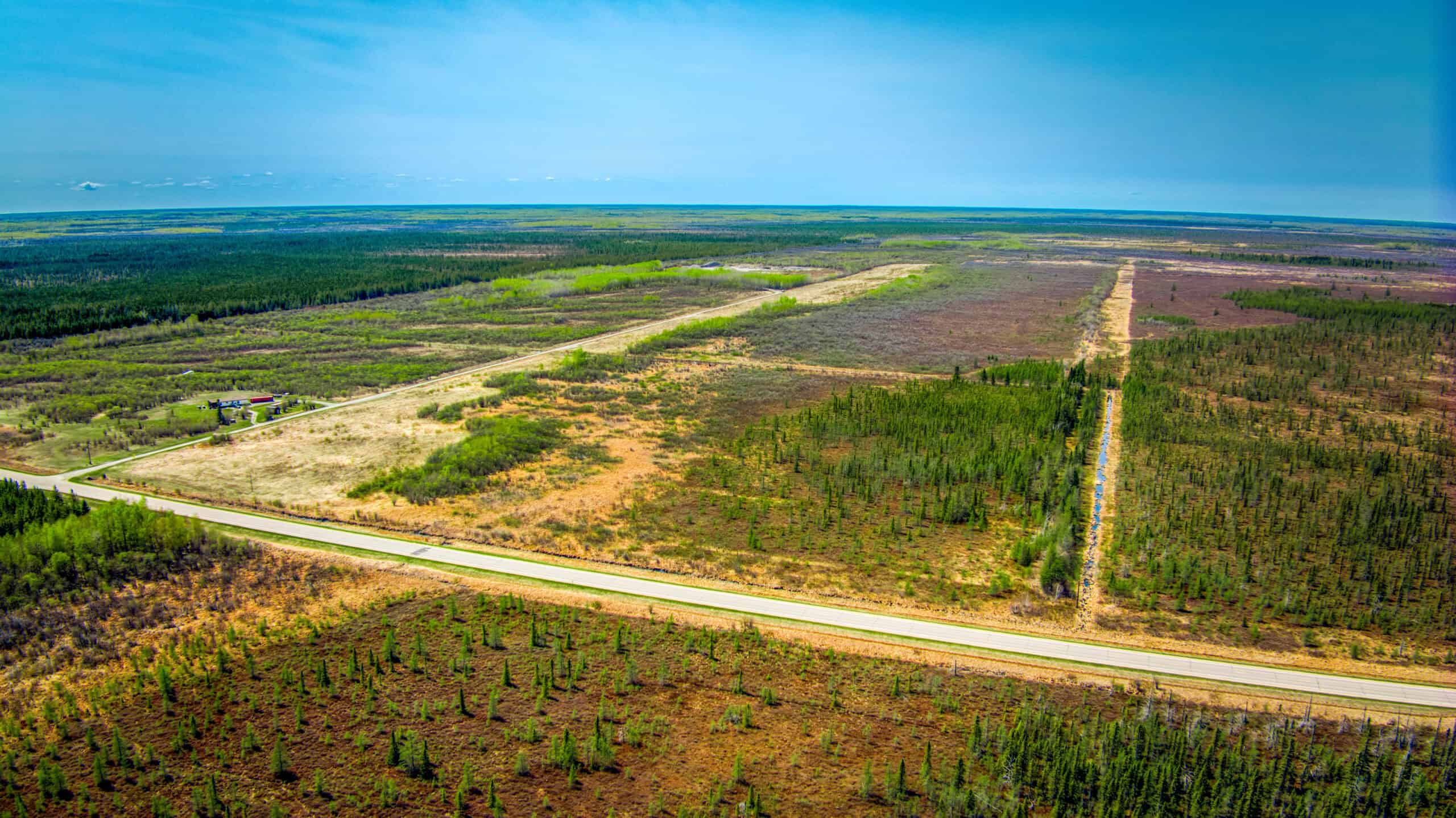Hunting and Recreational Land for Sale near Baudette, MN