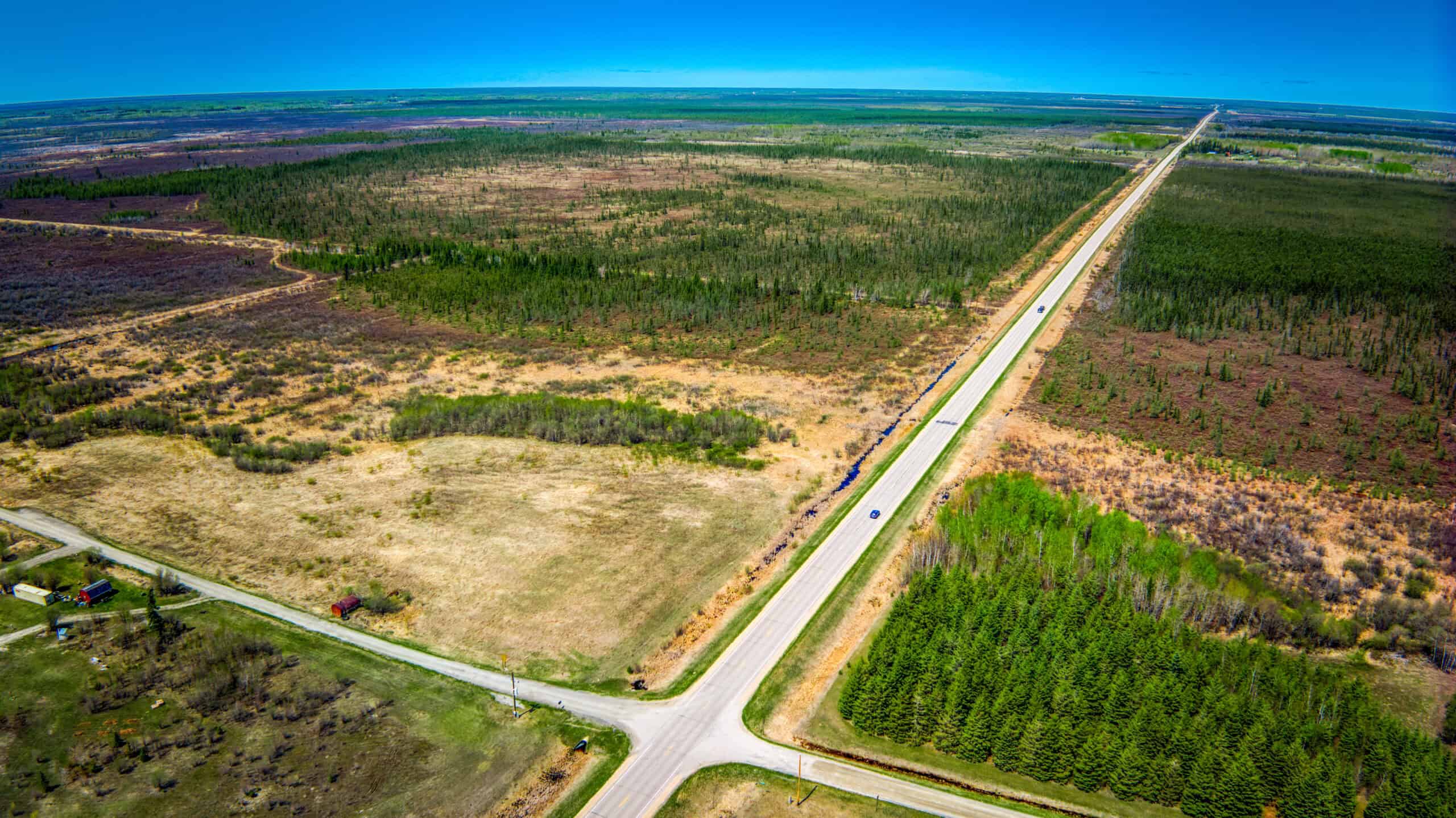 Hunting and Recreational Land for Sale near Baudette, MN