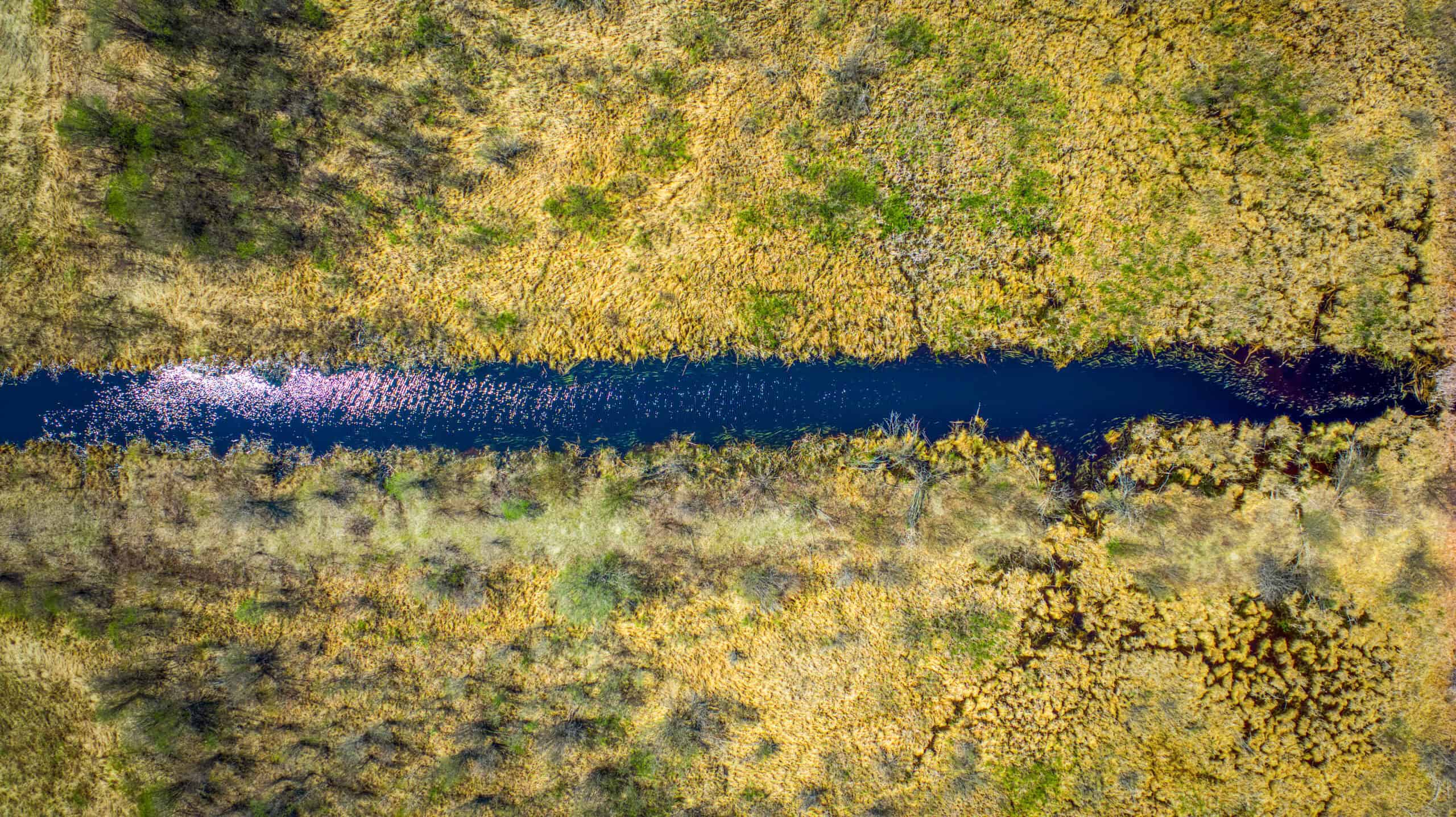 Hunting and Recreational Land for Sale near Baudette, MN