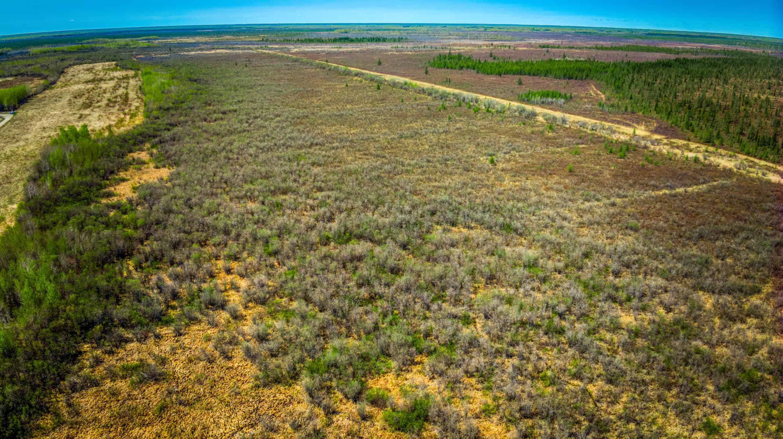 Hunting and Recreational Land for Sale near Baudette, MN