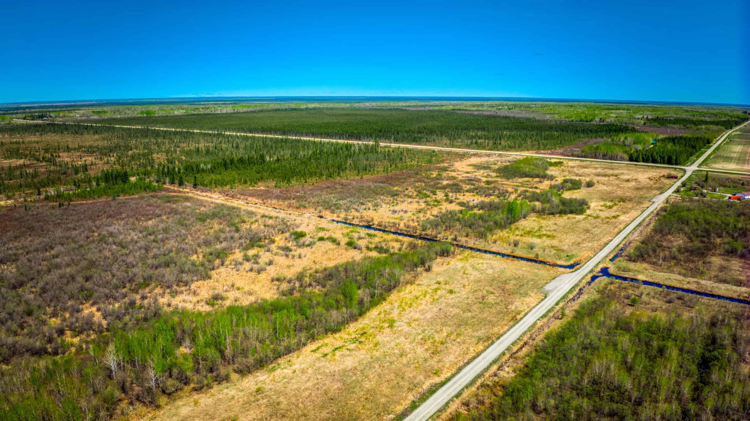 Hunting and Recreational Land for Sale near Baudette, MN
