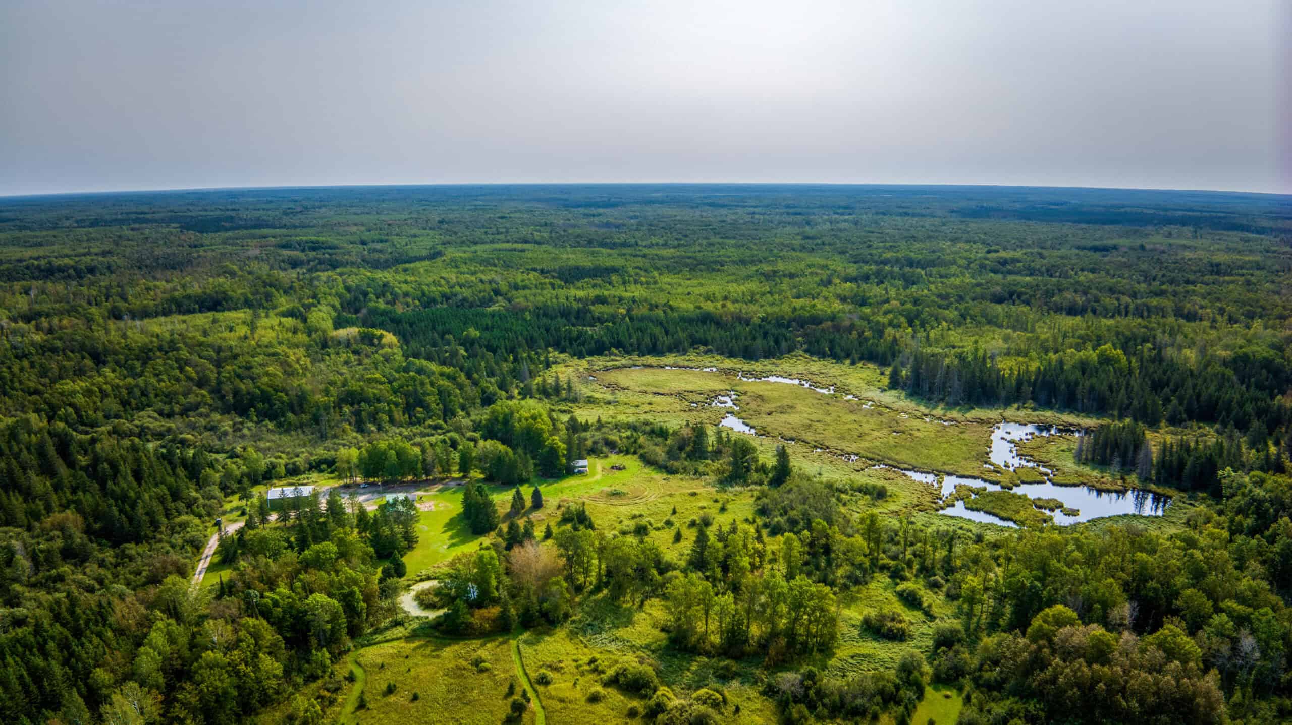Hunting Land with Cabin & Buildings for Sale in Itasca County, MN