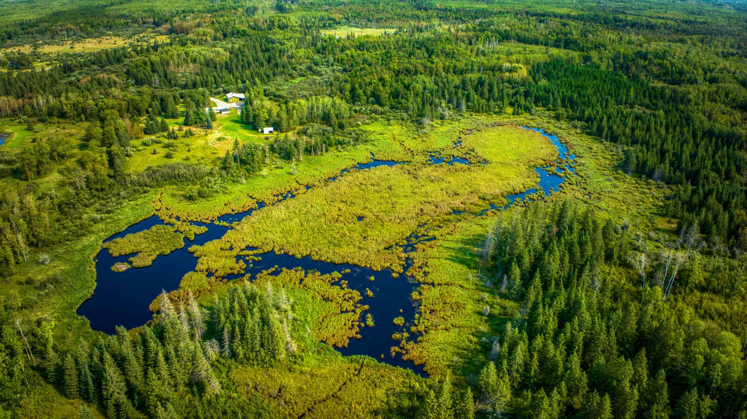 Hunting Land with Cabin & Buildings for Sale in Itasca County, MN