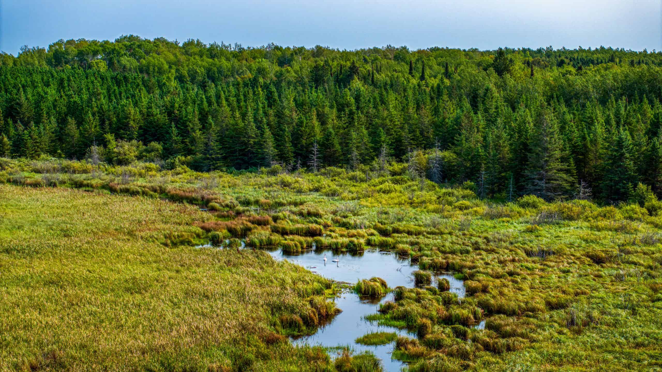 Hunting Land with Cabin & Buildings for Sale in Itasca County, MN