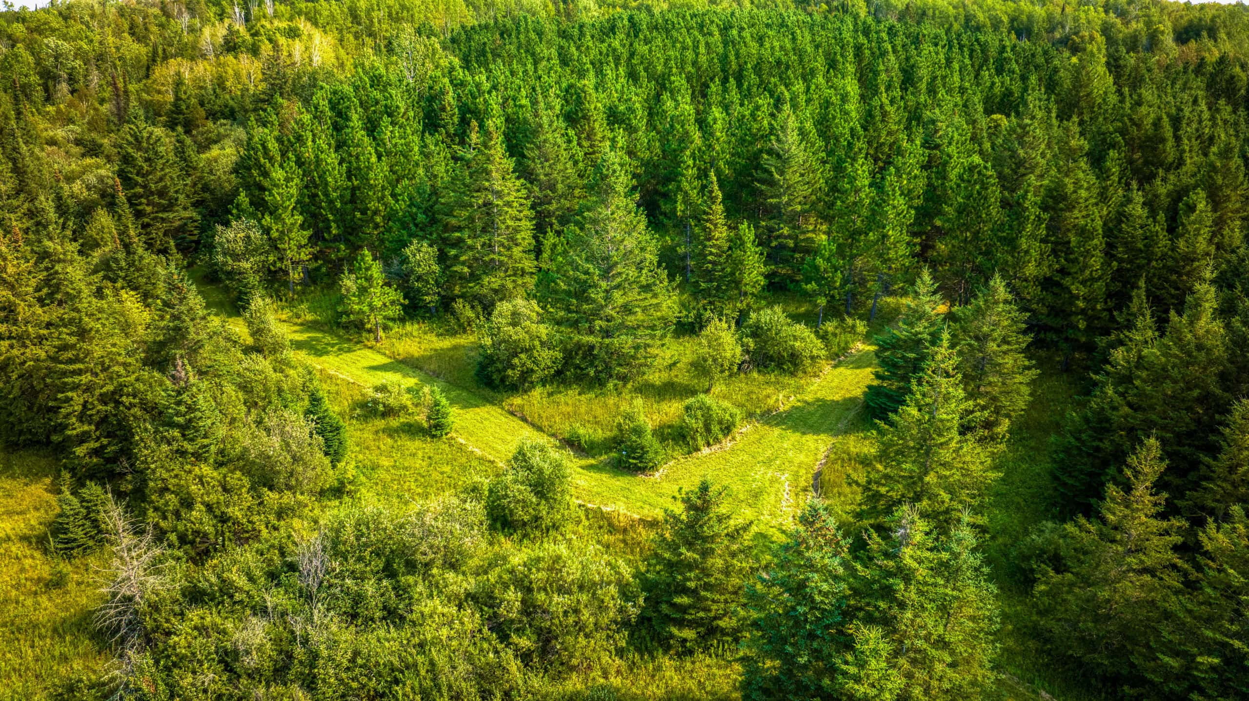 Hunting Land with Cabin & Buildings for Sale in Itasca County, MN