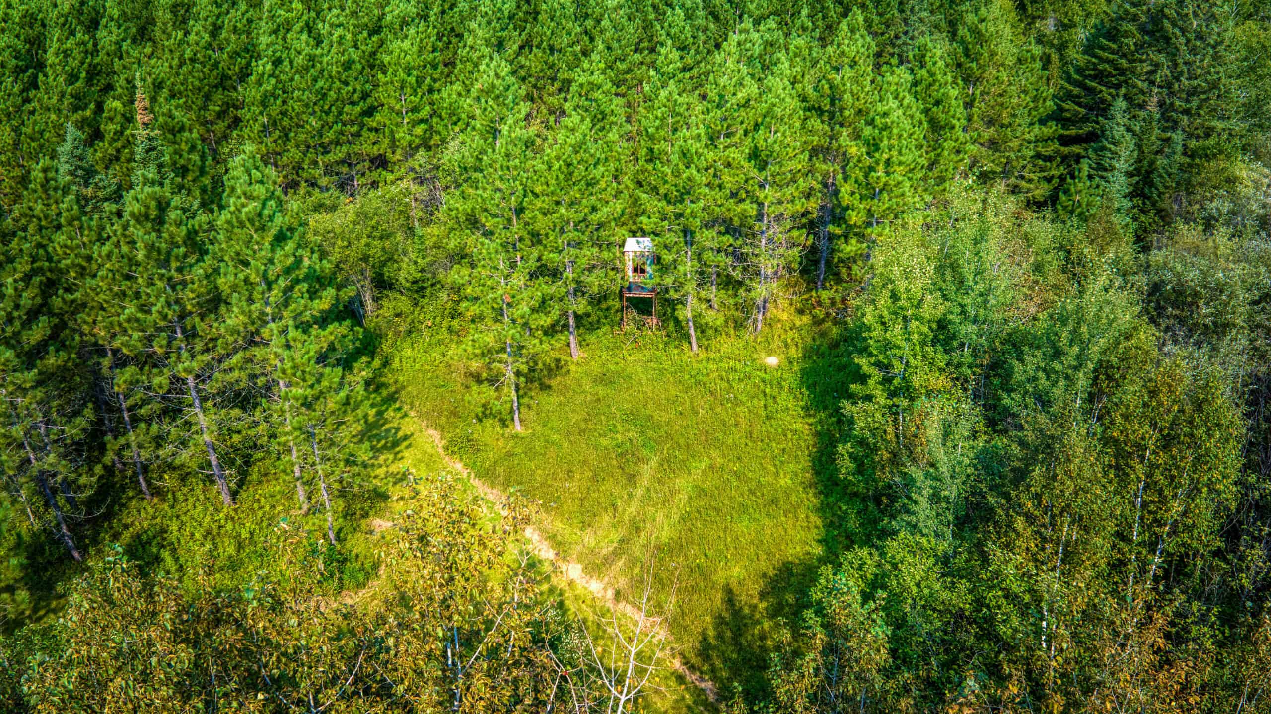 Hunting Land with Cabin & Buildings for Sale in Itasca County, MN