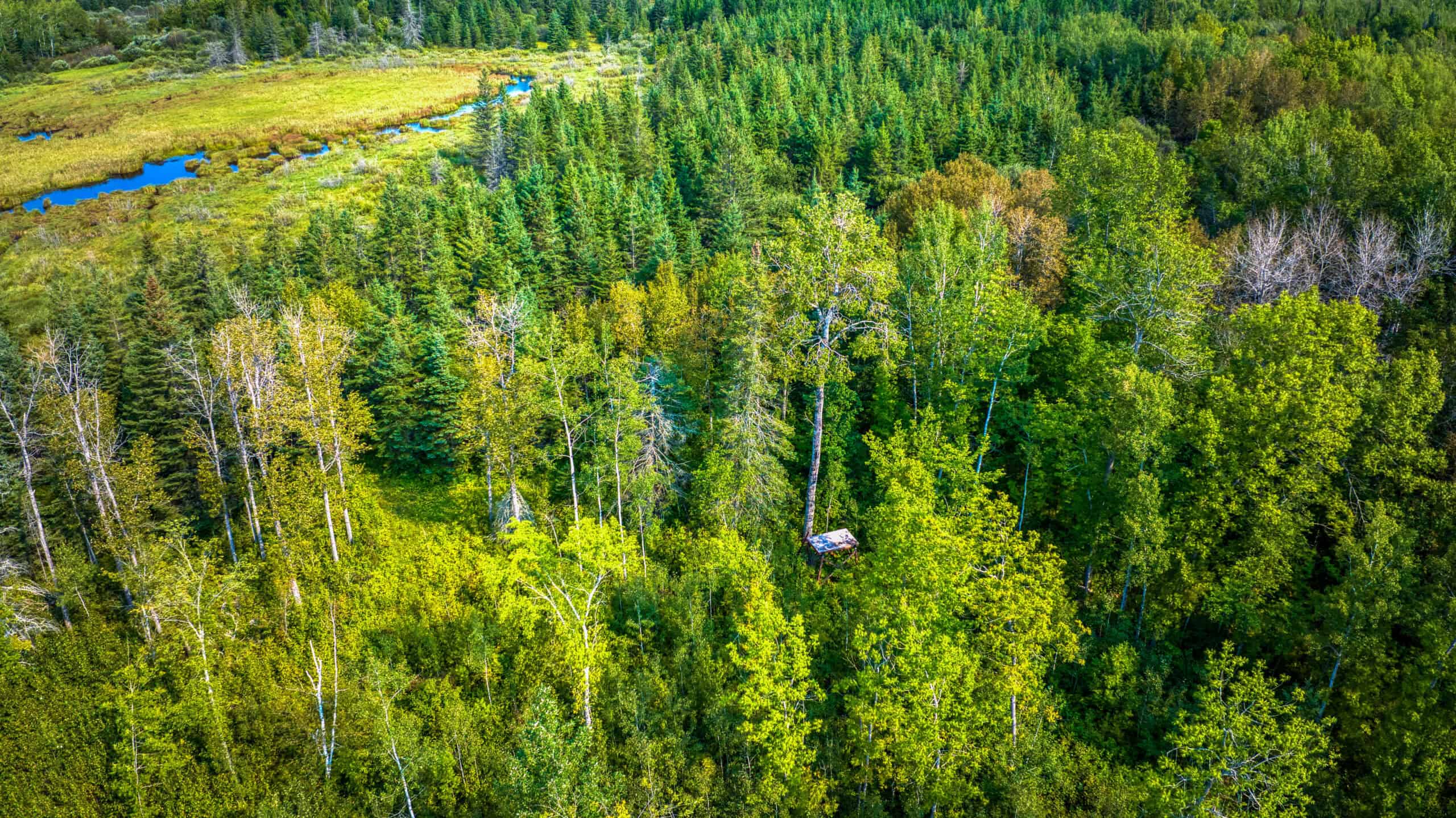 Hunting Land with Cabin & Buildings for Sale in Itasca County, MN