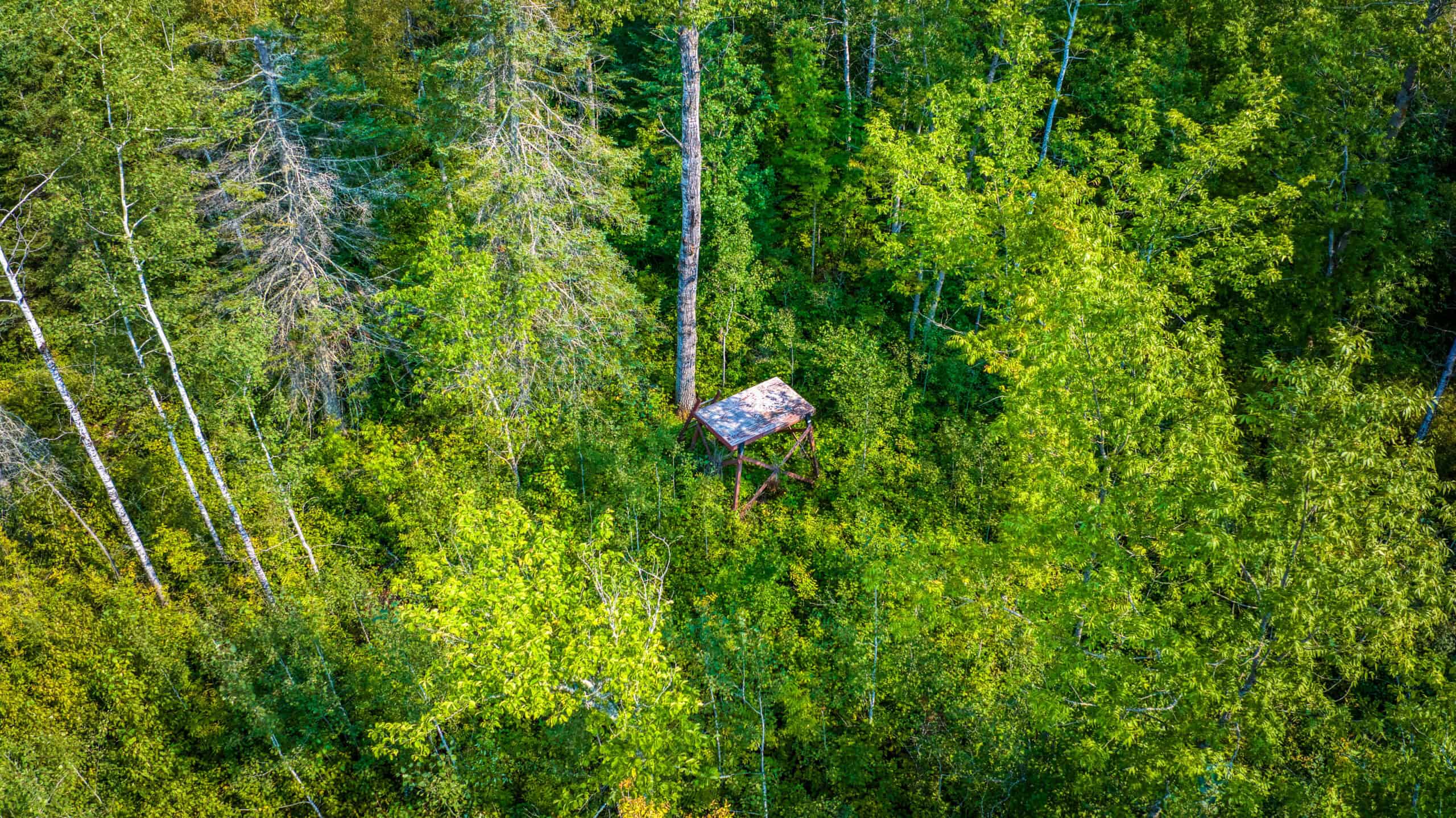 Hunting Land with Cabin & Buildings for Sale in Itasca County, MN