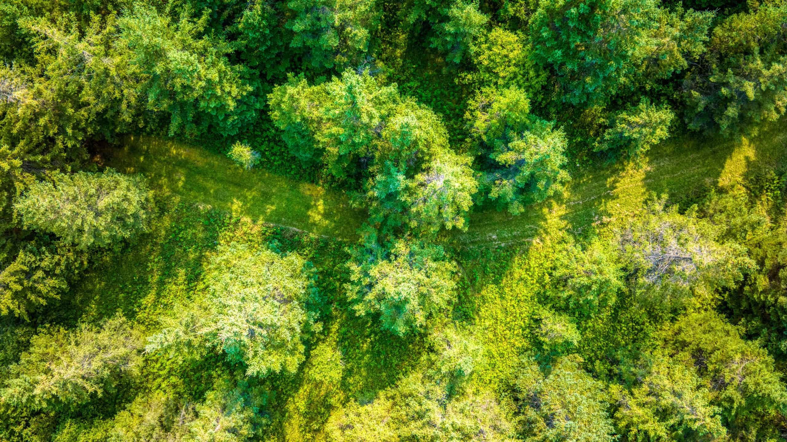 Hunting Land with Cabin & Buildings for Sale in Itasca County, MN