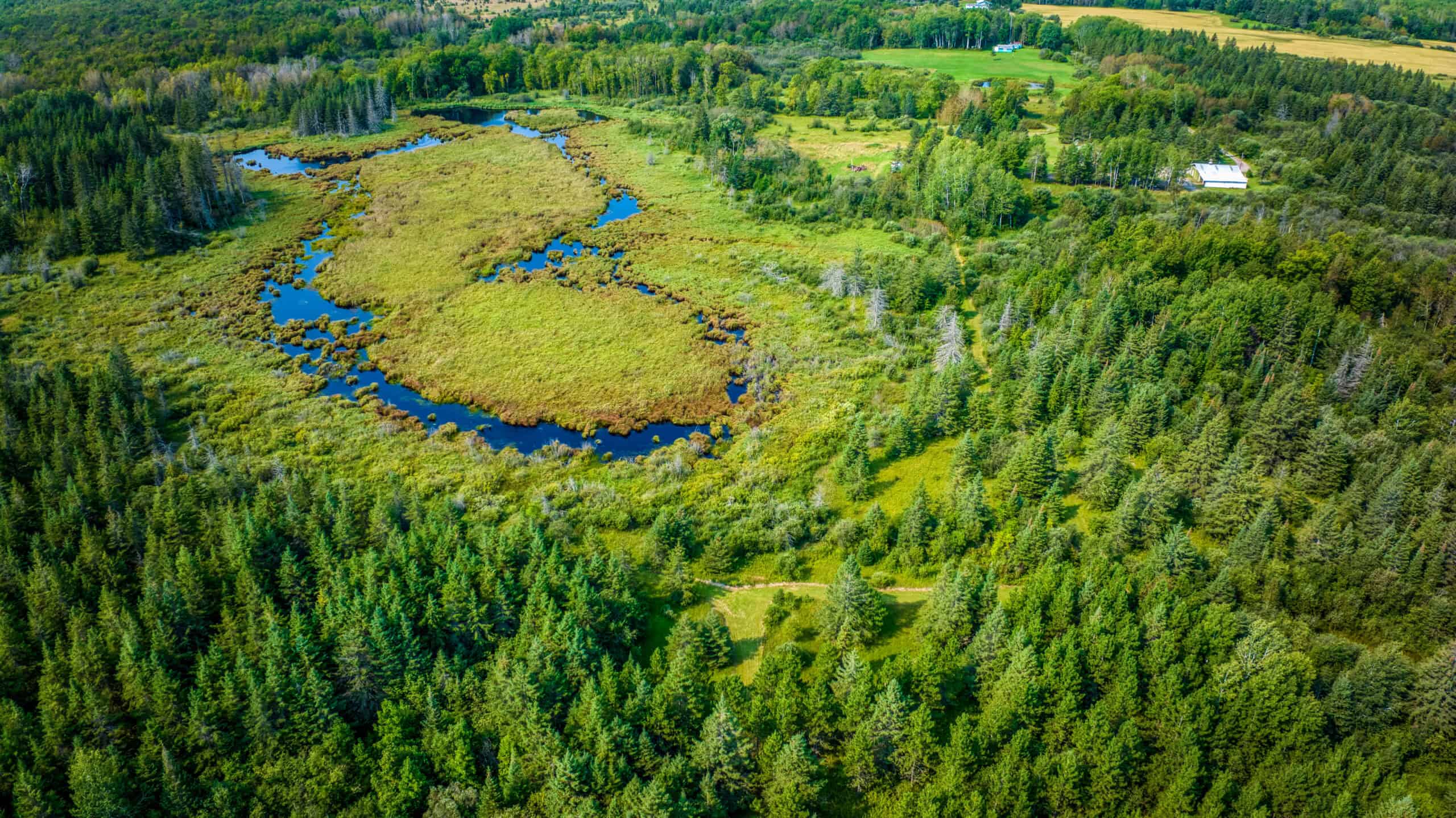 Hunting Land with Cabin & Buildings for Sale in Itasca County, MN