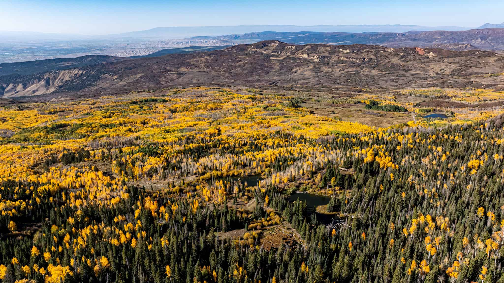 Buckhorn Lakes Ranch–Montrose, CO Elk & Mule Deer Hunting Property for Sale