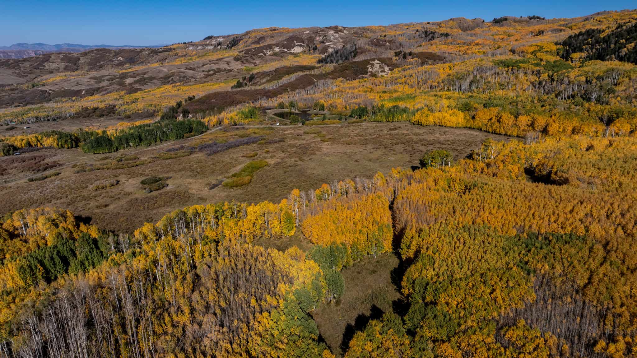 Buckhorn Lakes Ranch–Montrose, CO Elk & Mule Deer Hunting Property for Sale