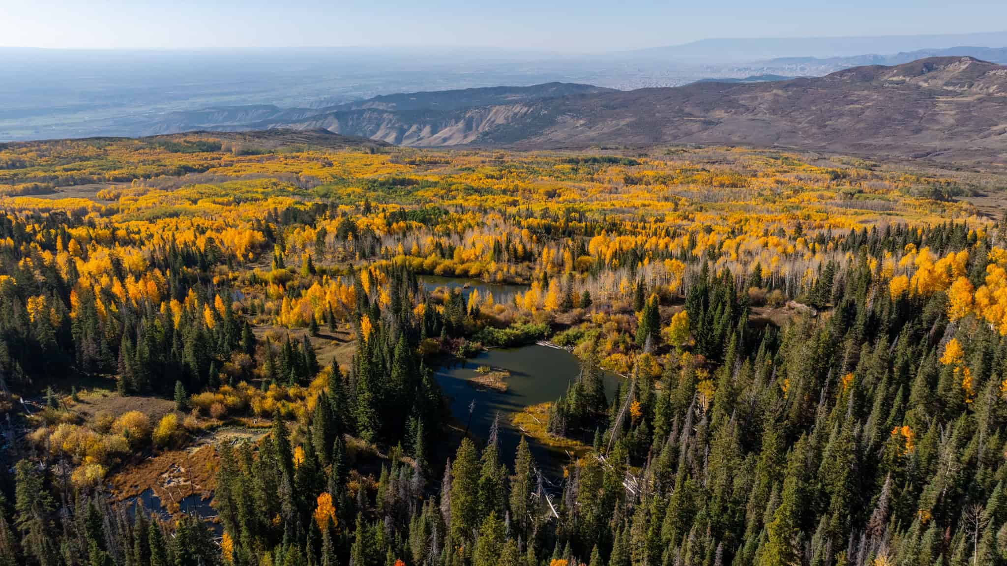 Buckhorn Lakes Ranch–Montrose, CO Elk & Mule Deer Hunting Property for Sale