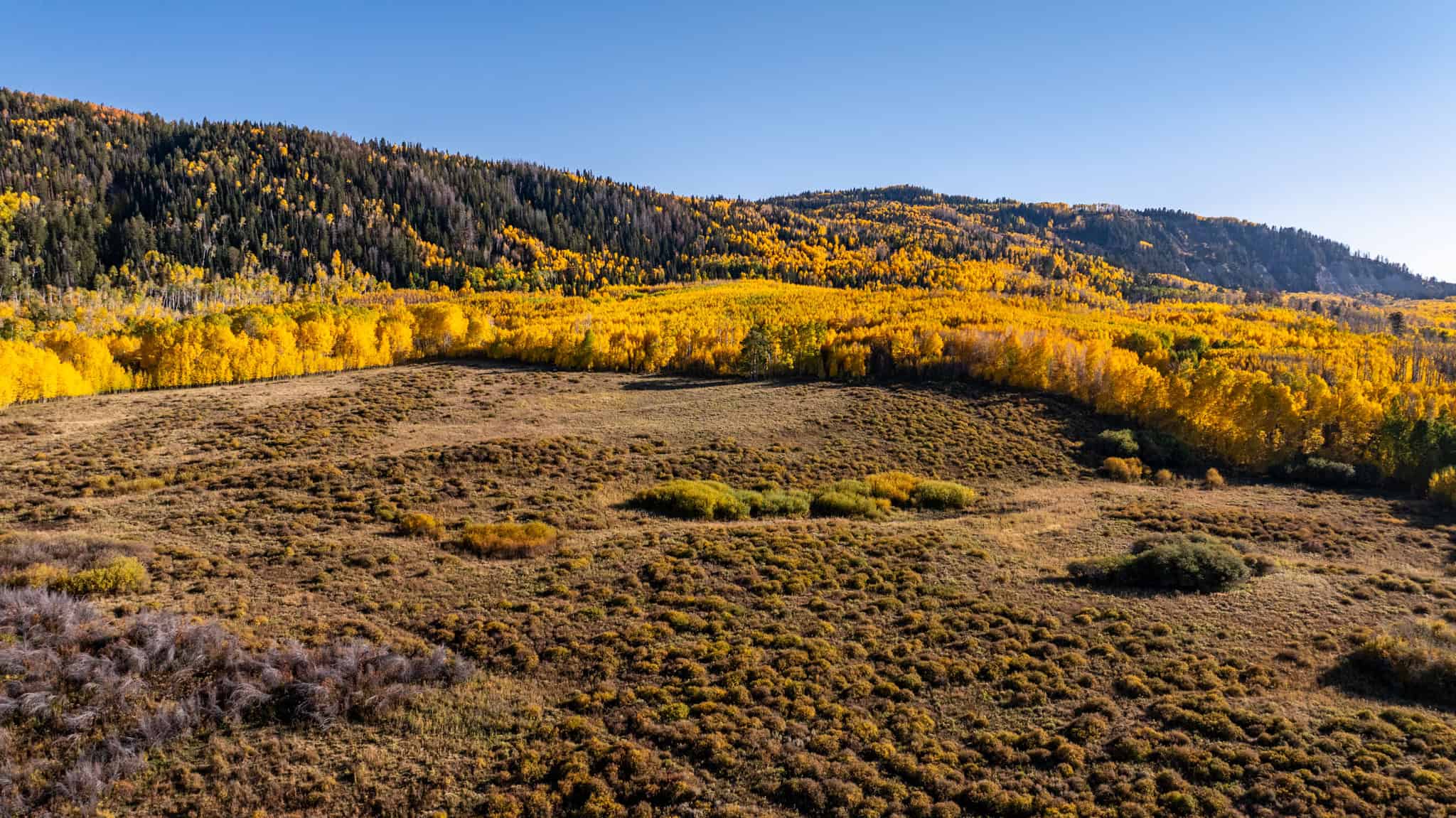 Buckhorn Lakes Ranch–Montrose, CO Elk & Mule Deer Hunting Property for Sale