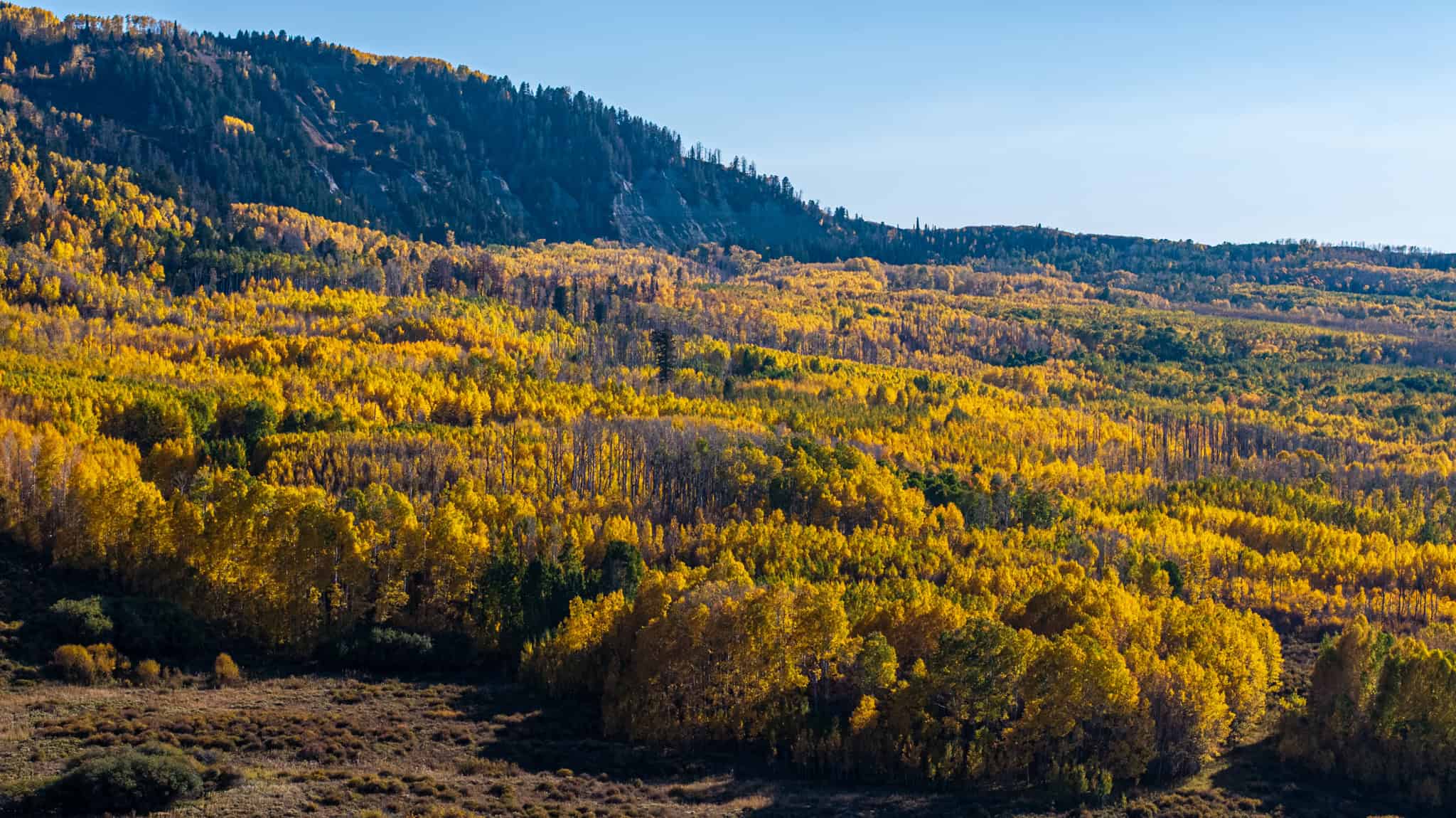 Buckhorn Lakes Ranch–Montrose, CO Elk & Mule Deer Hunting Property for Sale