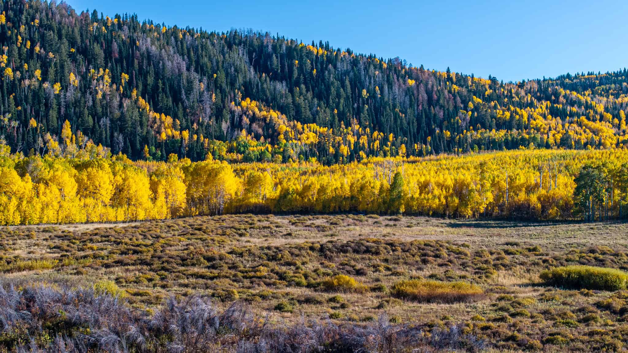 Buckhorn Lakes Ranch–Montrose, CO Elk & Mule Deer Hunting Property for Sale