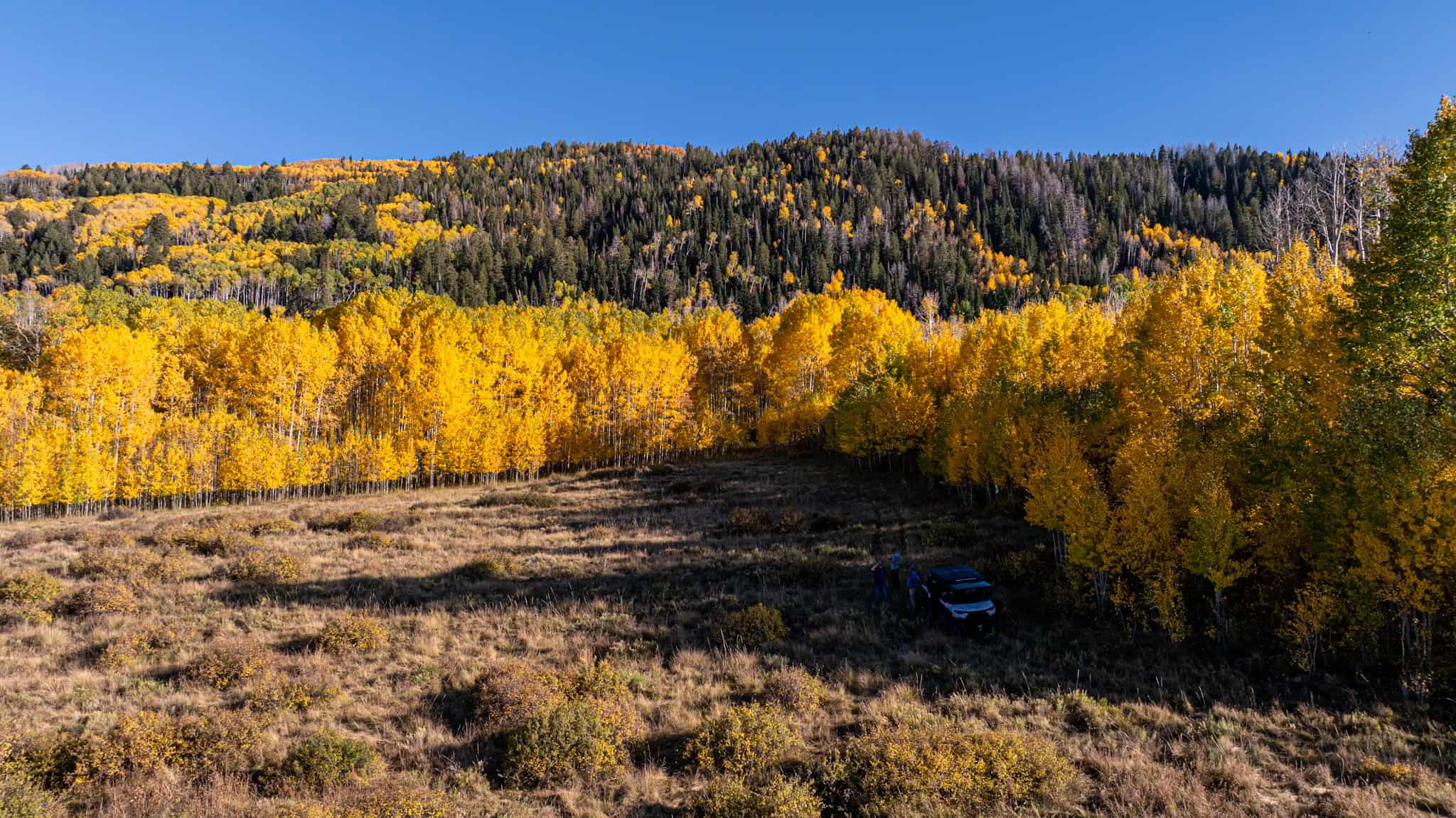 Buckhorn Lakes Ranch–Montrose, CO Elk & Mule Deer Hunting Property for Sale