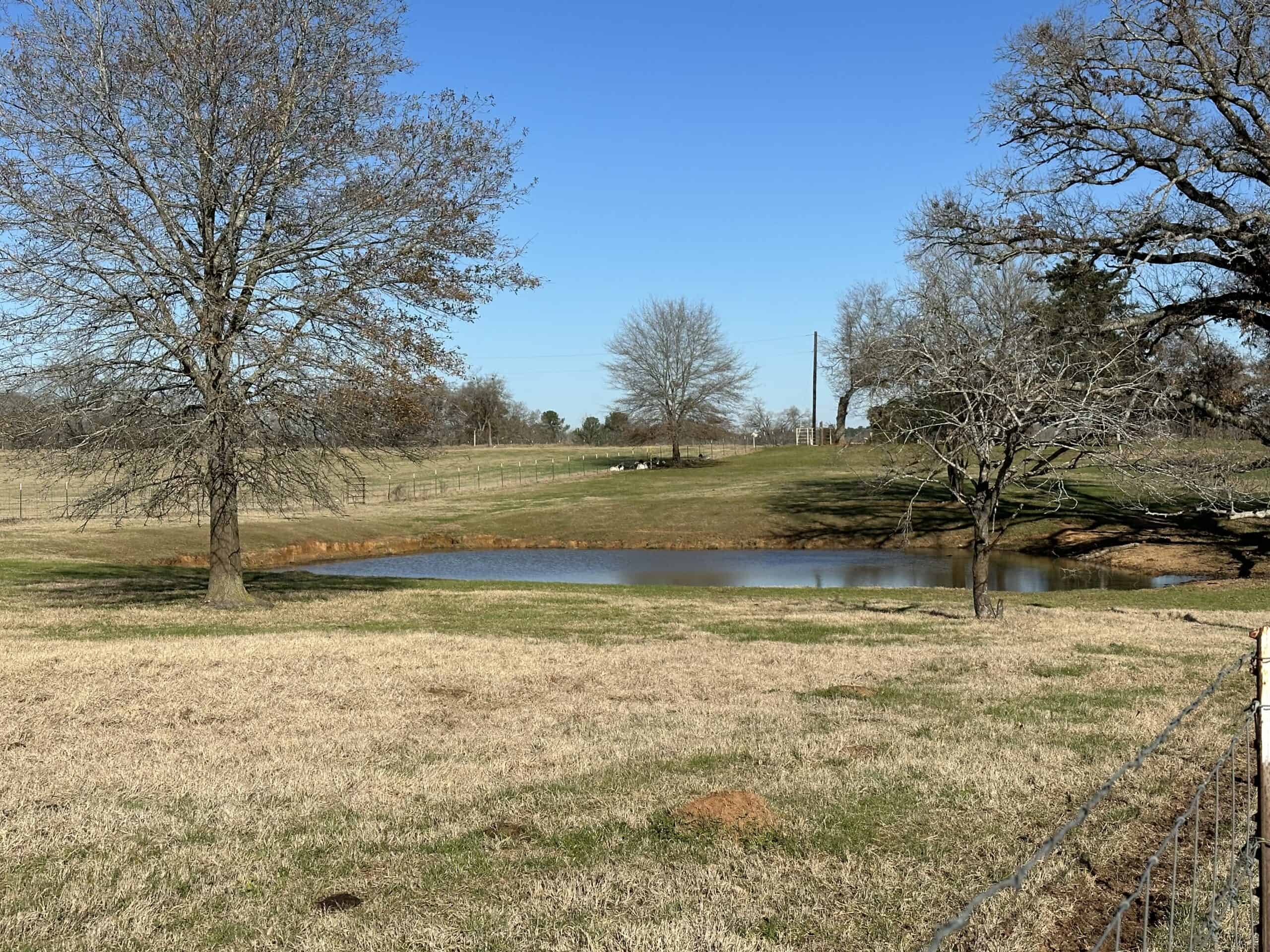 East Texas Ranch For Sale