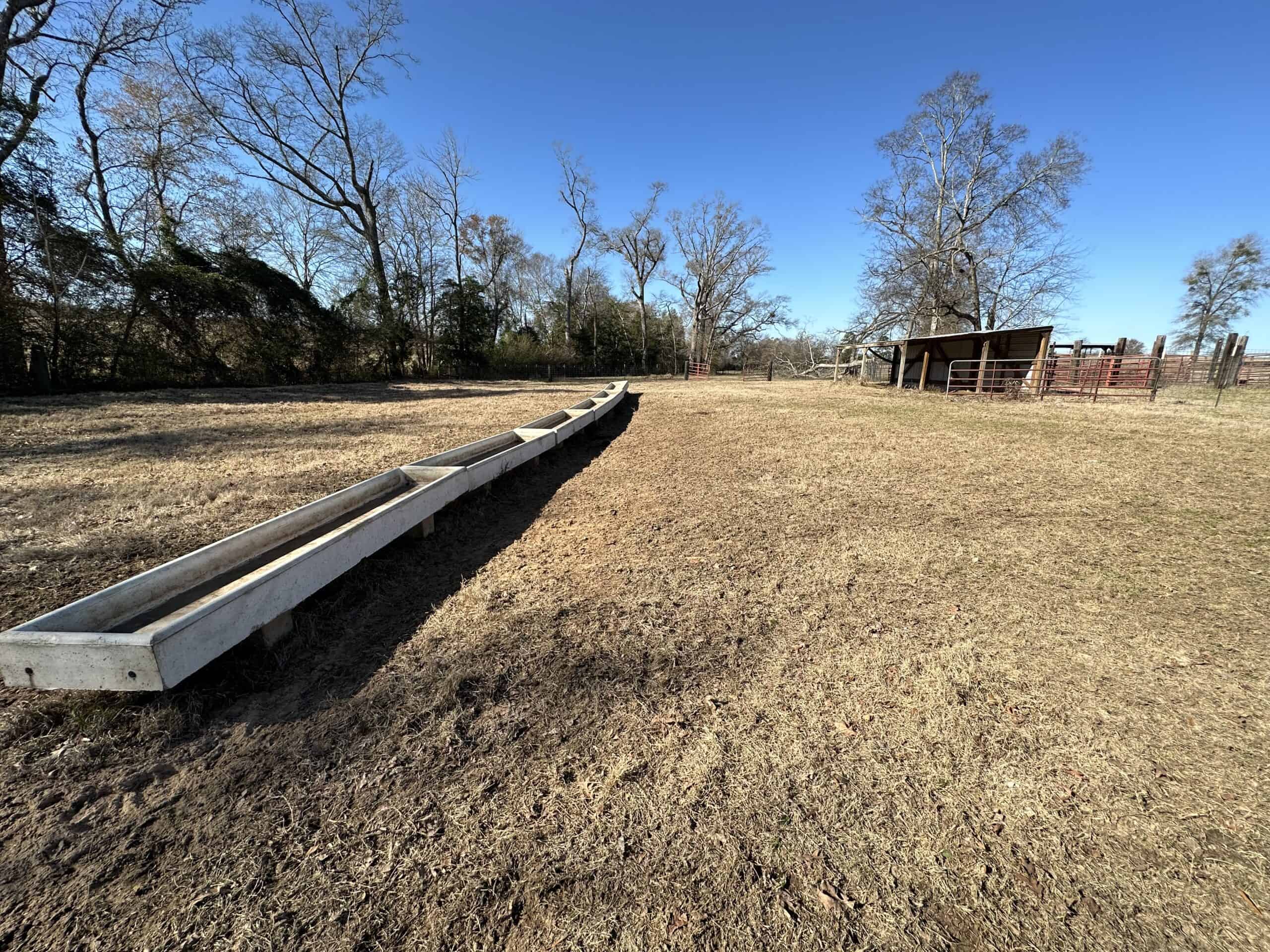 East Texas Ranch For Sale