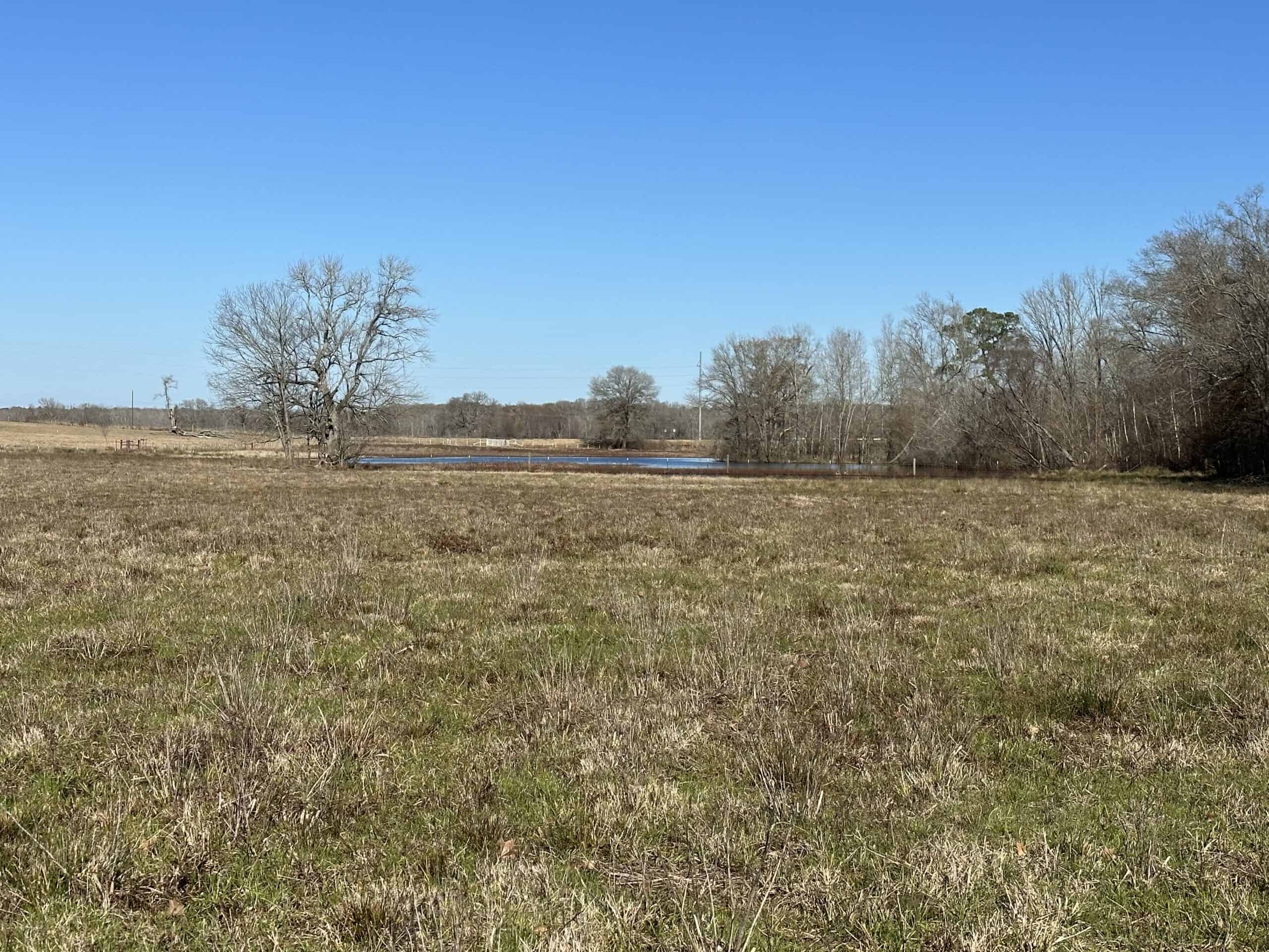 East Texas Ranch For Sale