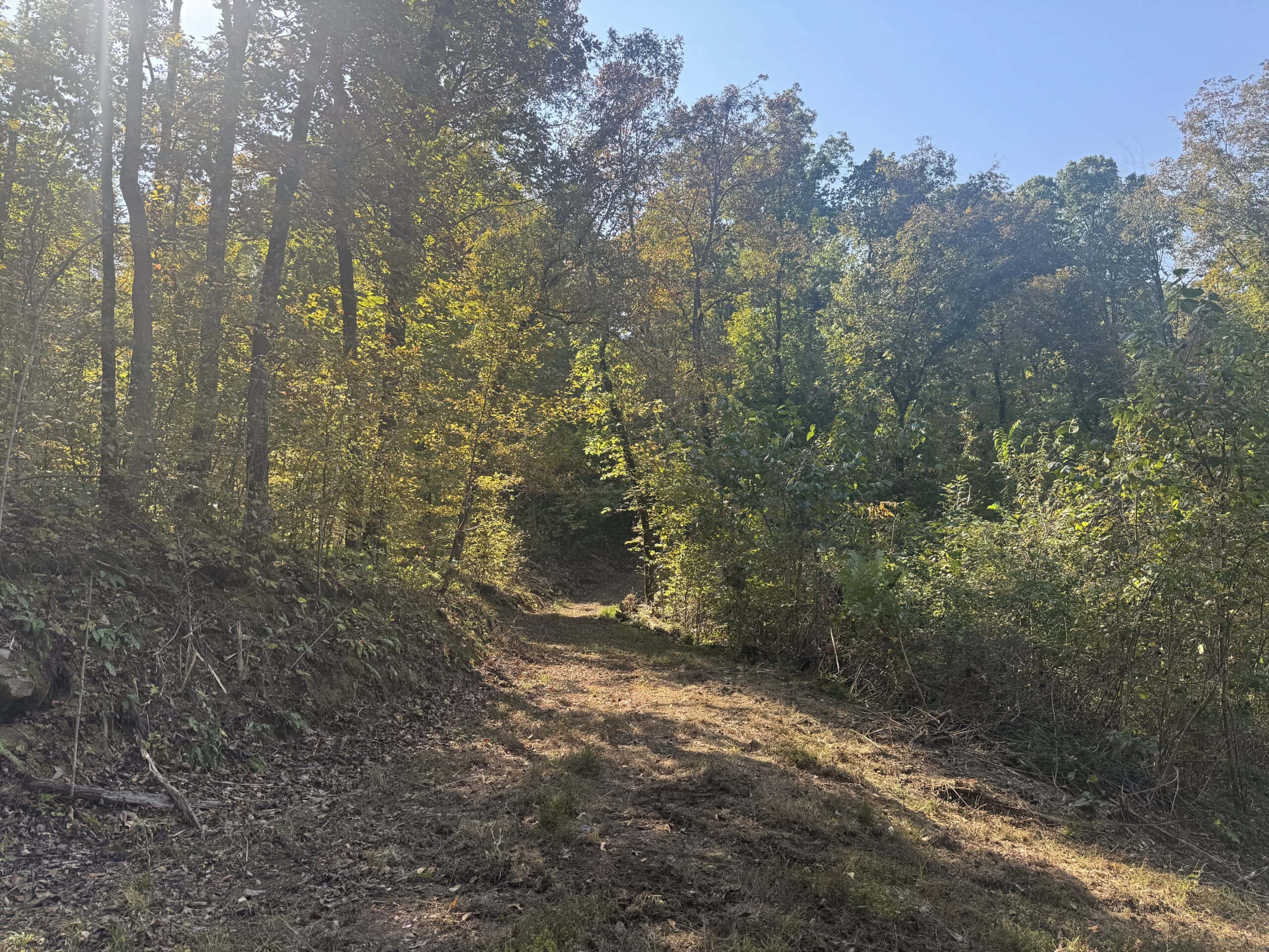OZARK MOUNTAINS LAND AND HOME FOR SALE IN ARKANSAS