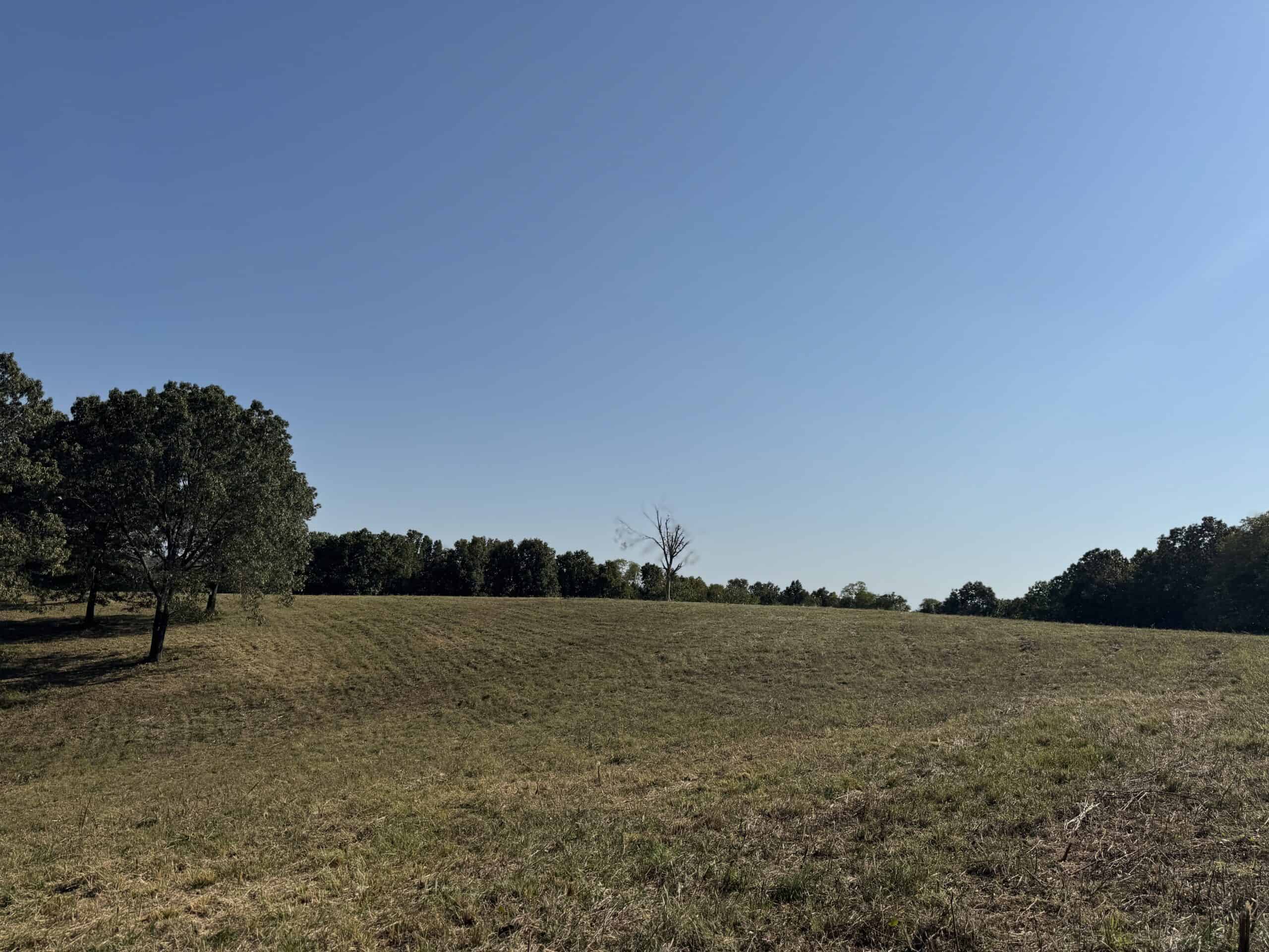 OZARK MOUNTAINS LAND AND HOME FOR SALE IN ARKANSAS