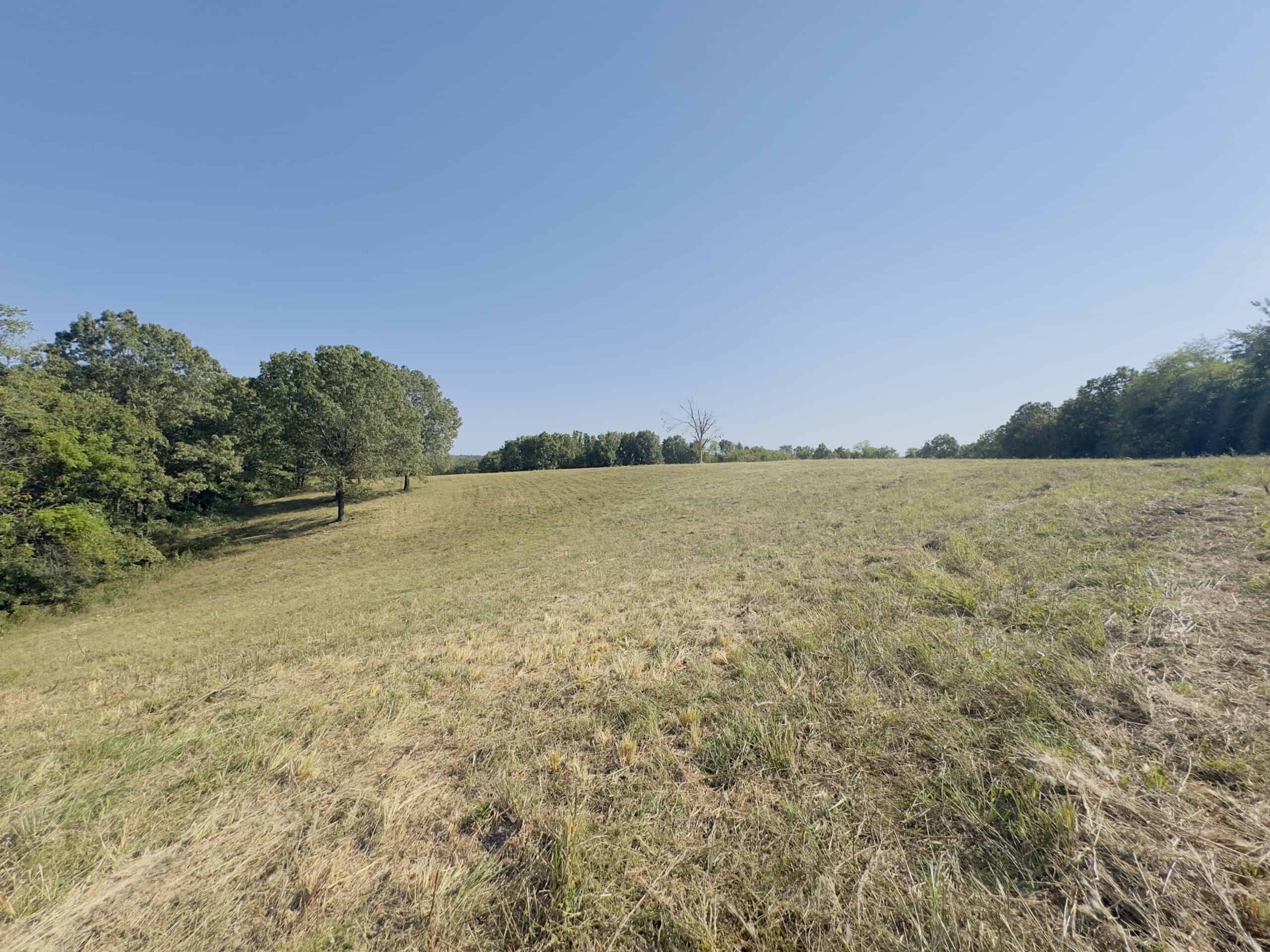 OZARK MOUNTAINS LAND AND HOME FOR SALE IN ARKANSAS