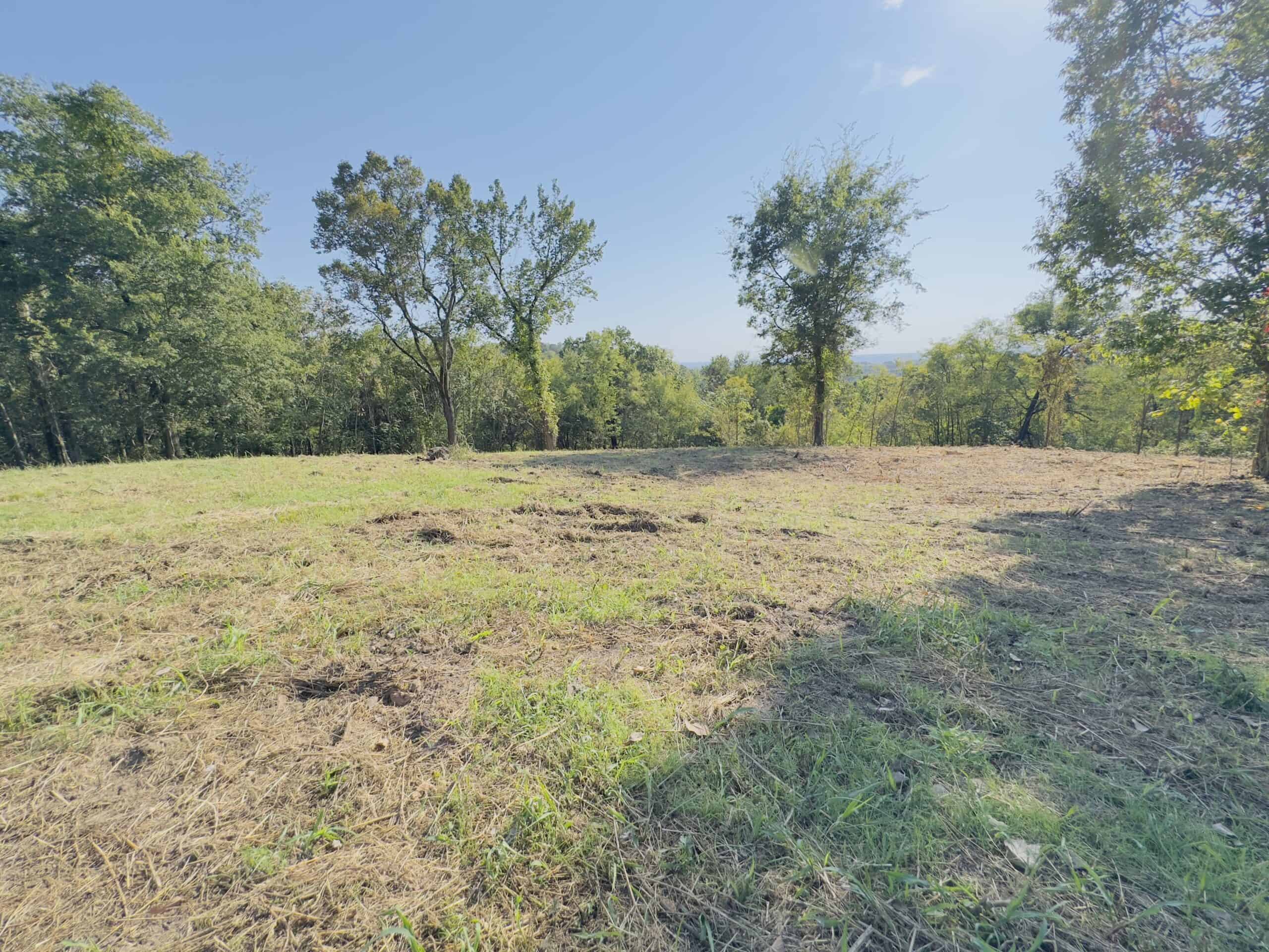OZARK MOUNTAINS LAND AND HOME FOR SALE IN ARKANSAS