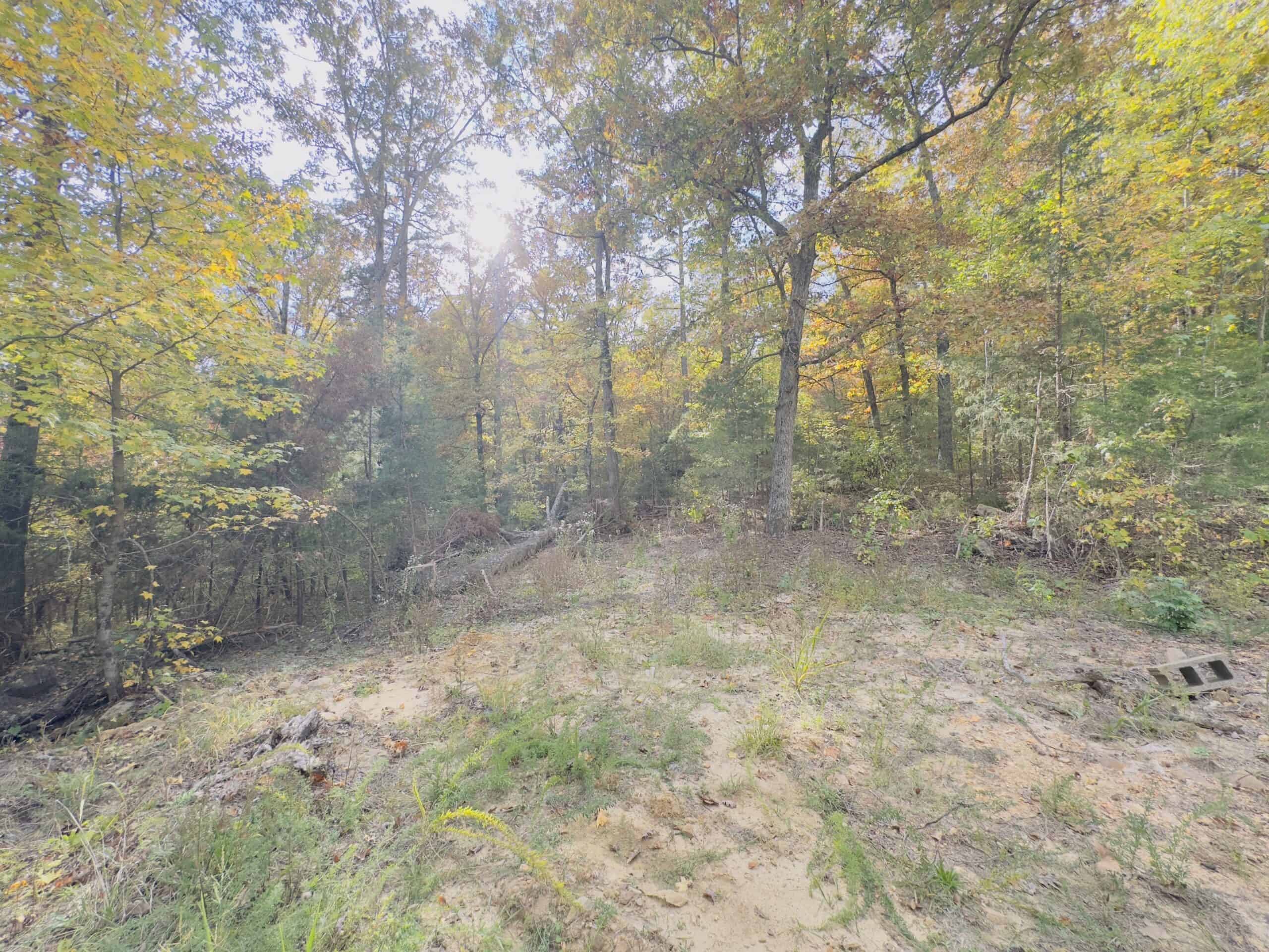219.48 Acres of Unrestricted Land in Melbourne, Arkansas