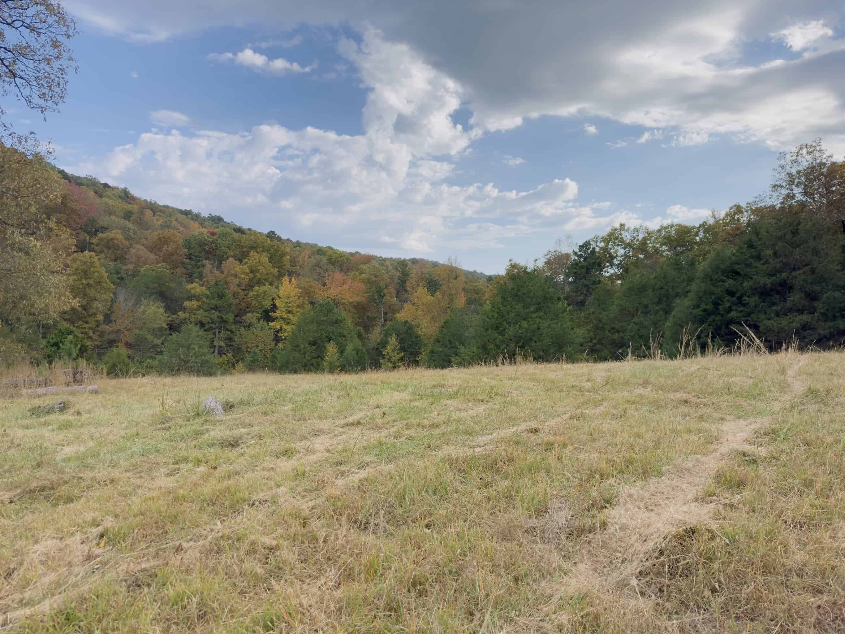219.48 Acres of Unrestricted Land in Melbourne, Arkansas