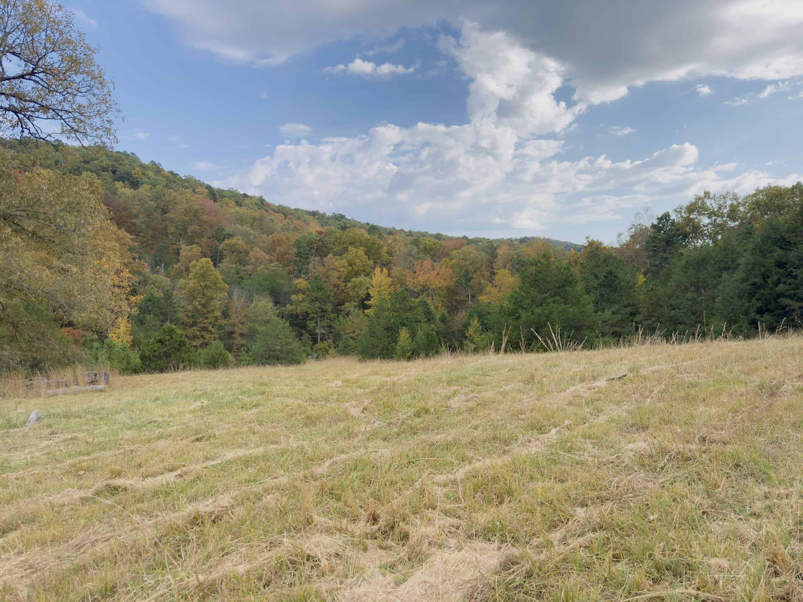 219.48 Acres of Unrestricted Land in Melbourne, Arkansas
