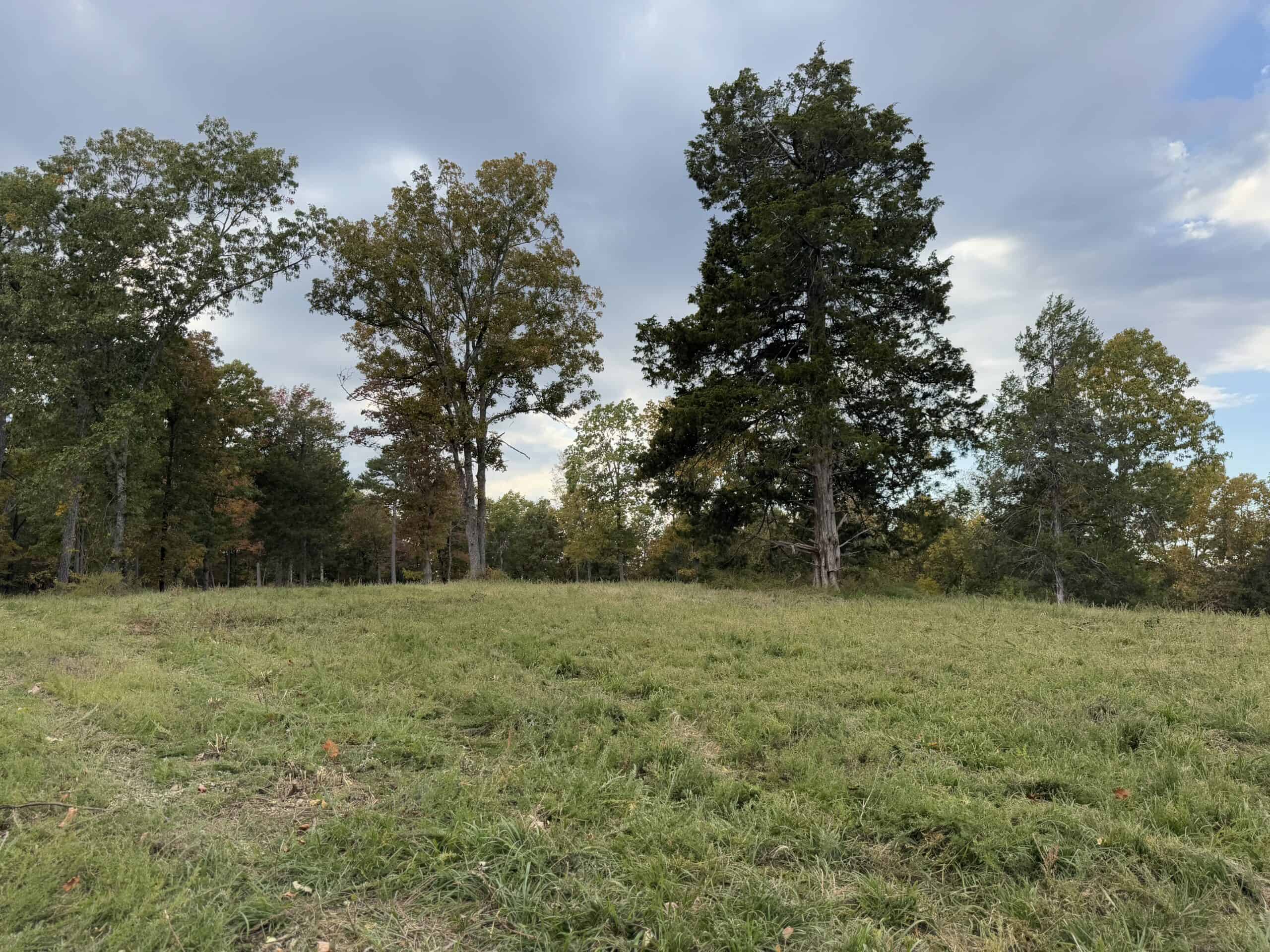 219.48 Acres of Unrestricted Land in Melbourne, Arkansas