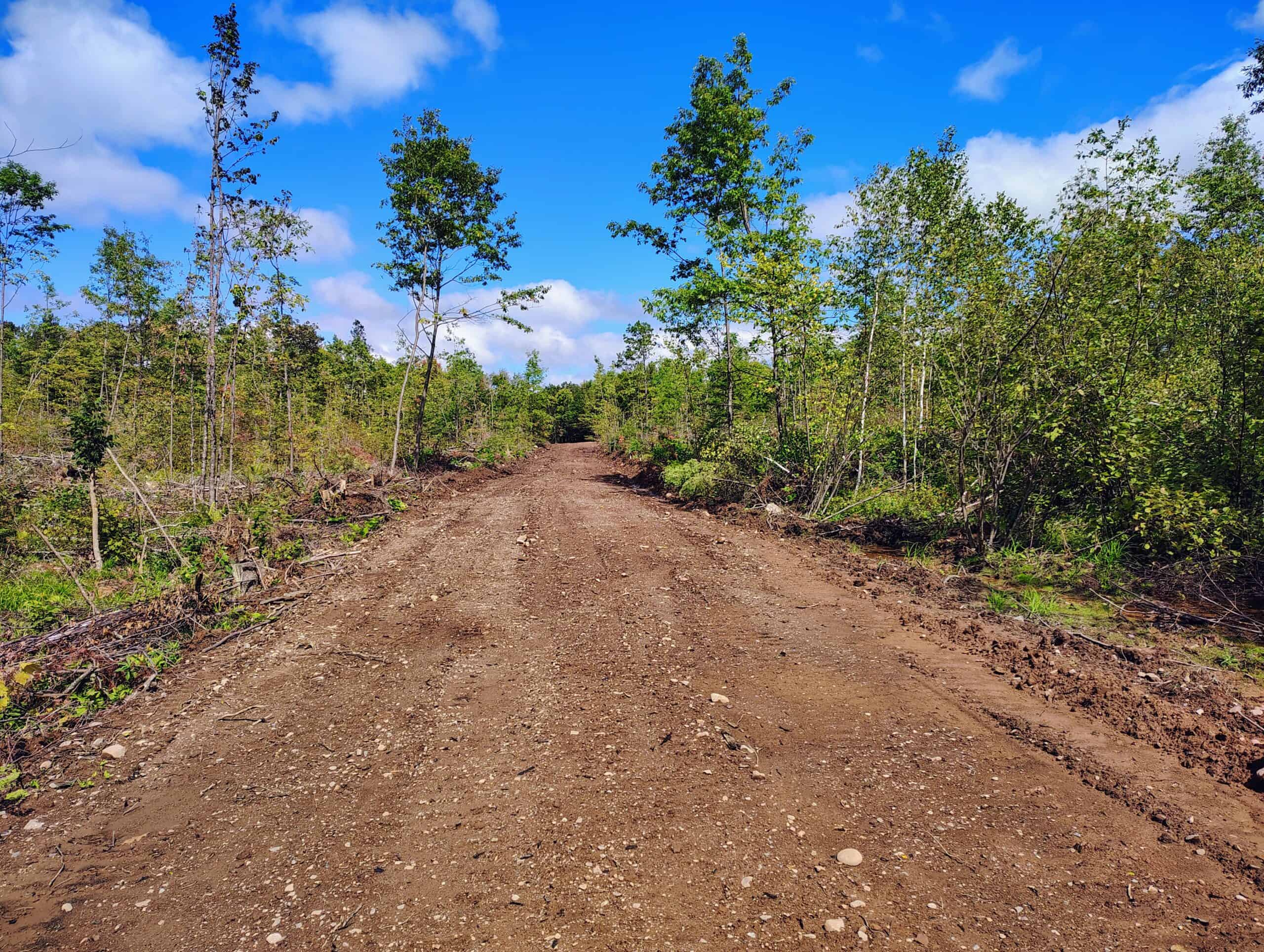Land for Sale in Ashland County, Wisconsin